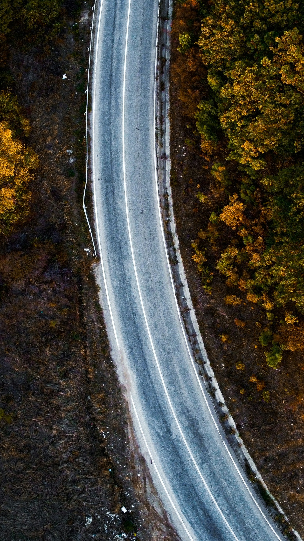 Wallpapers