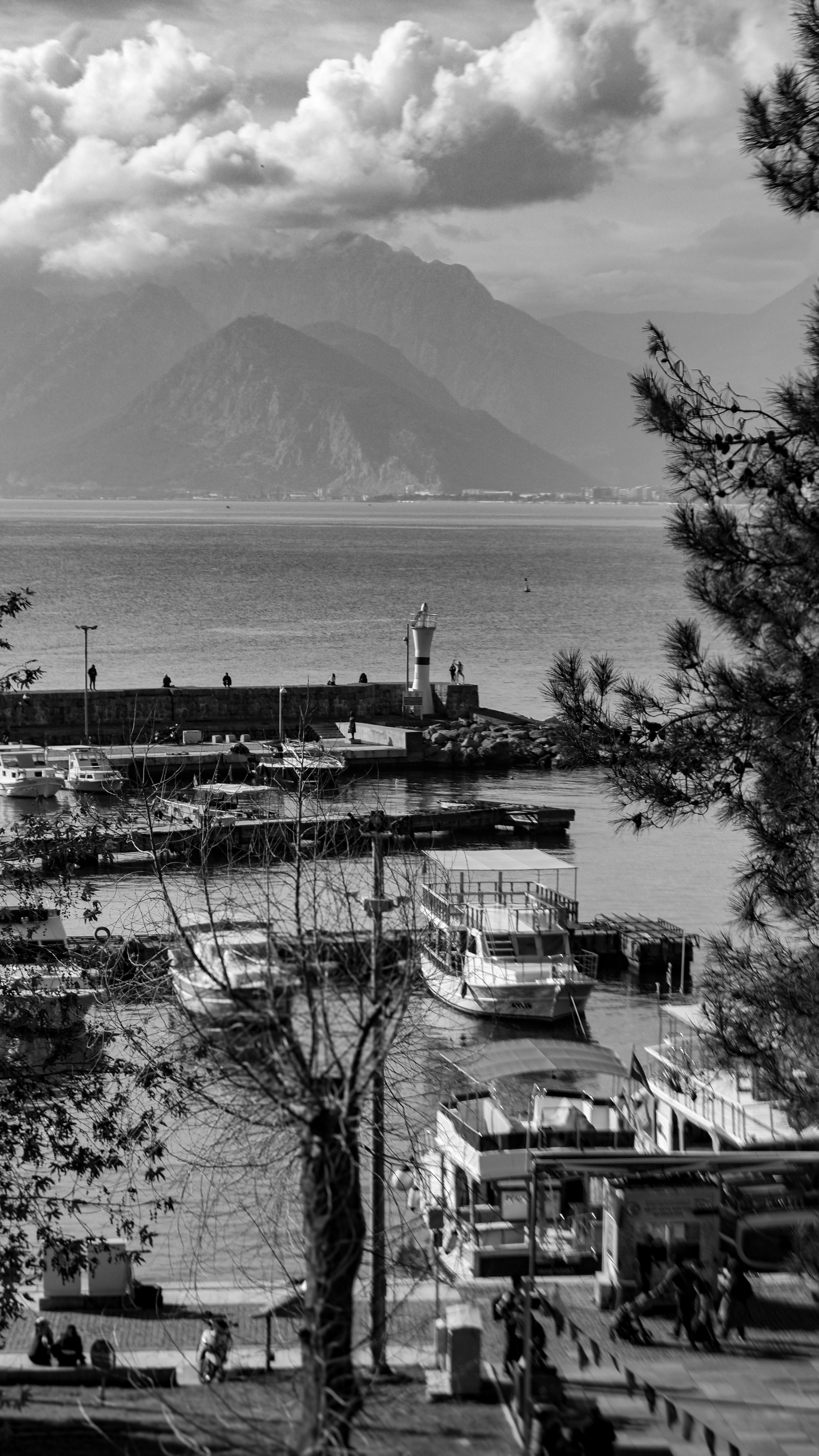 Coastal Marina with Mountain Backdrop
