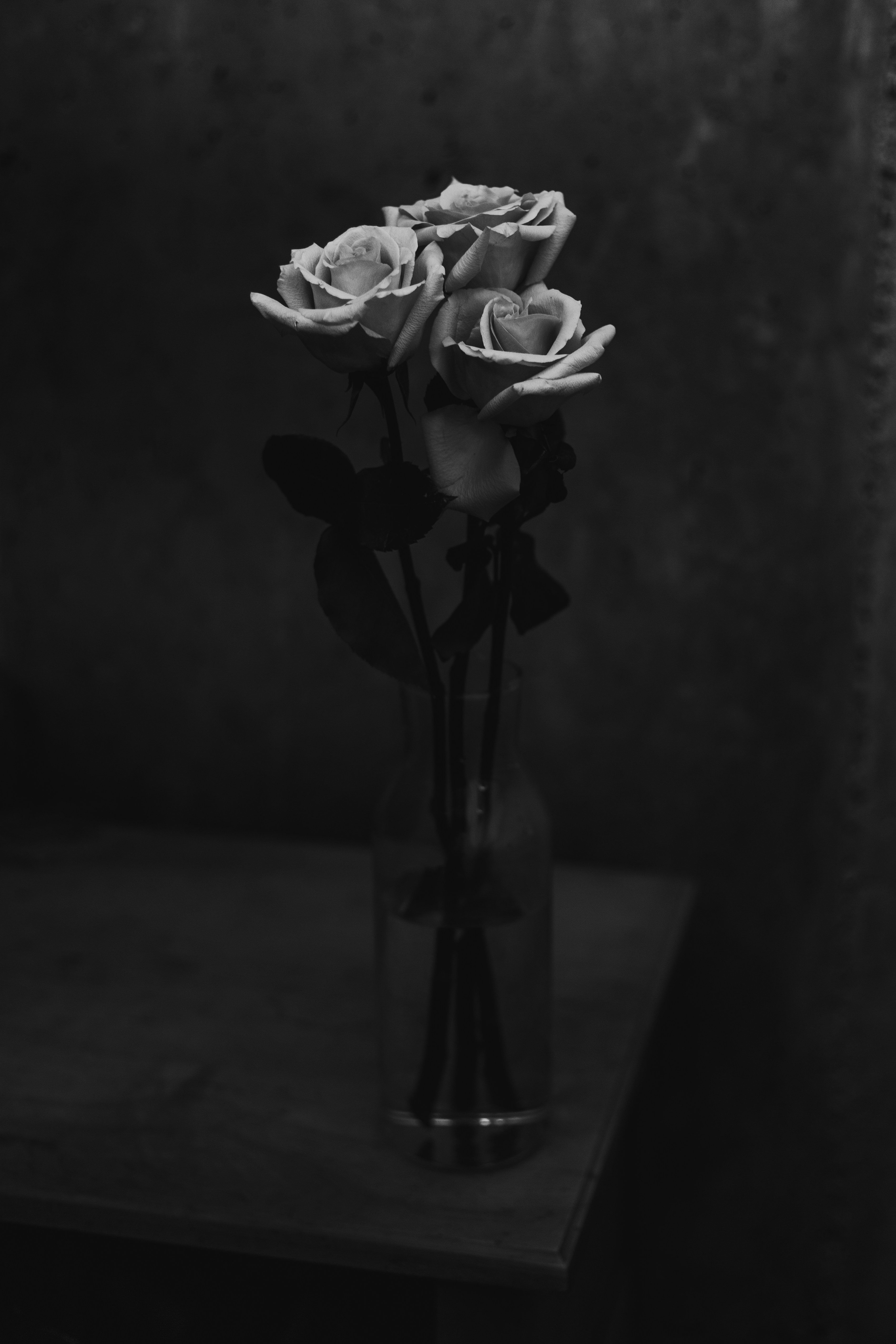Black and White Roses in Glass Vase