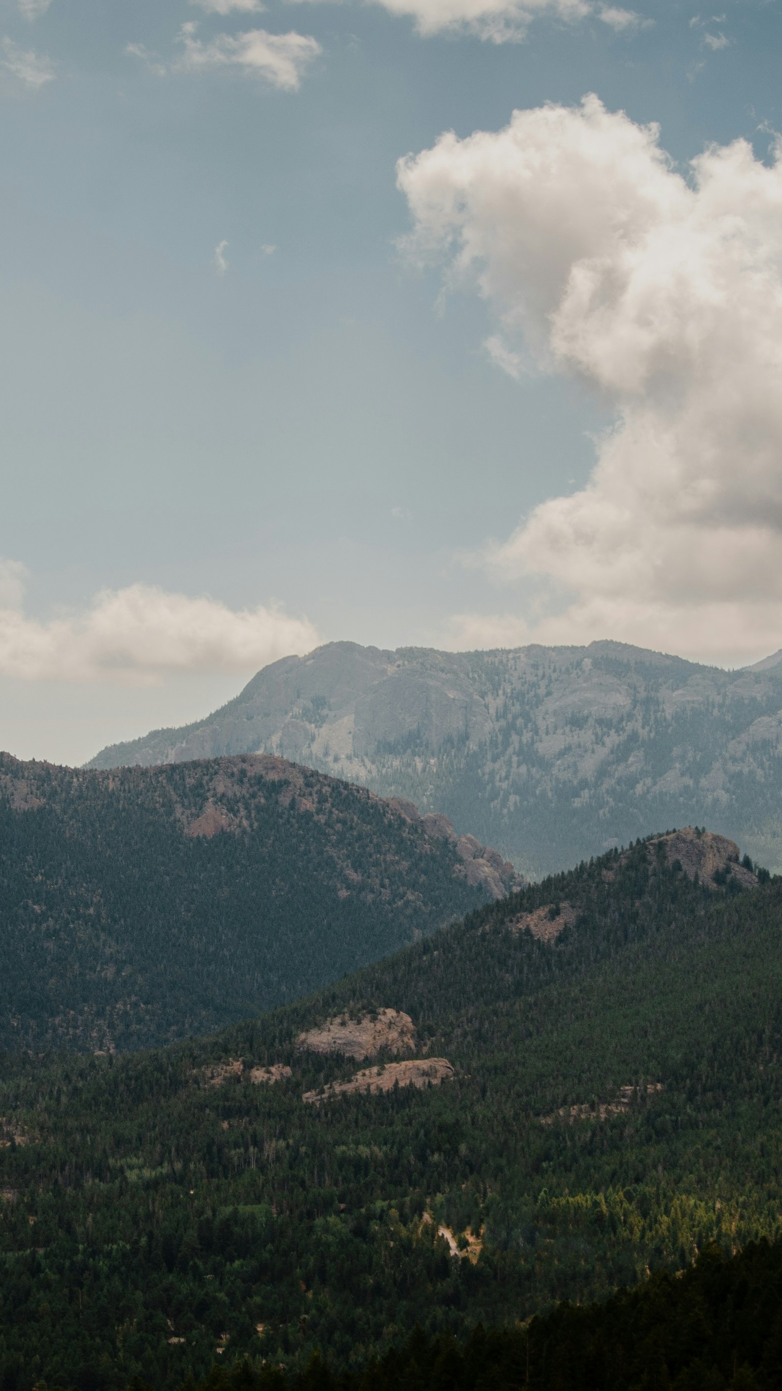 Landscapes