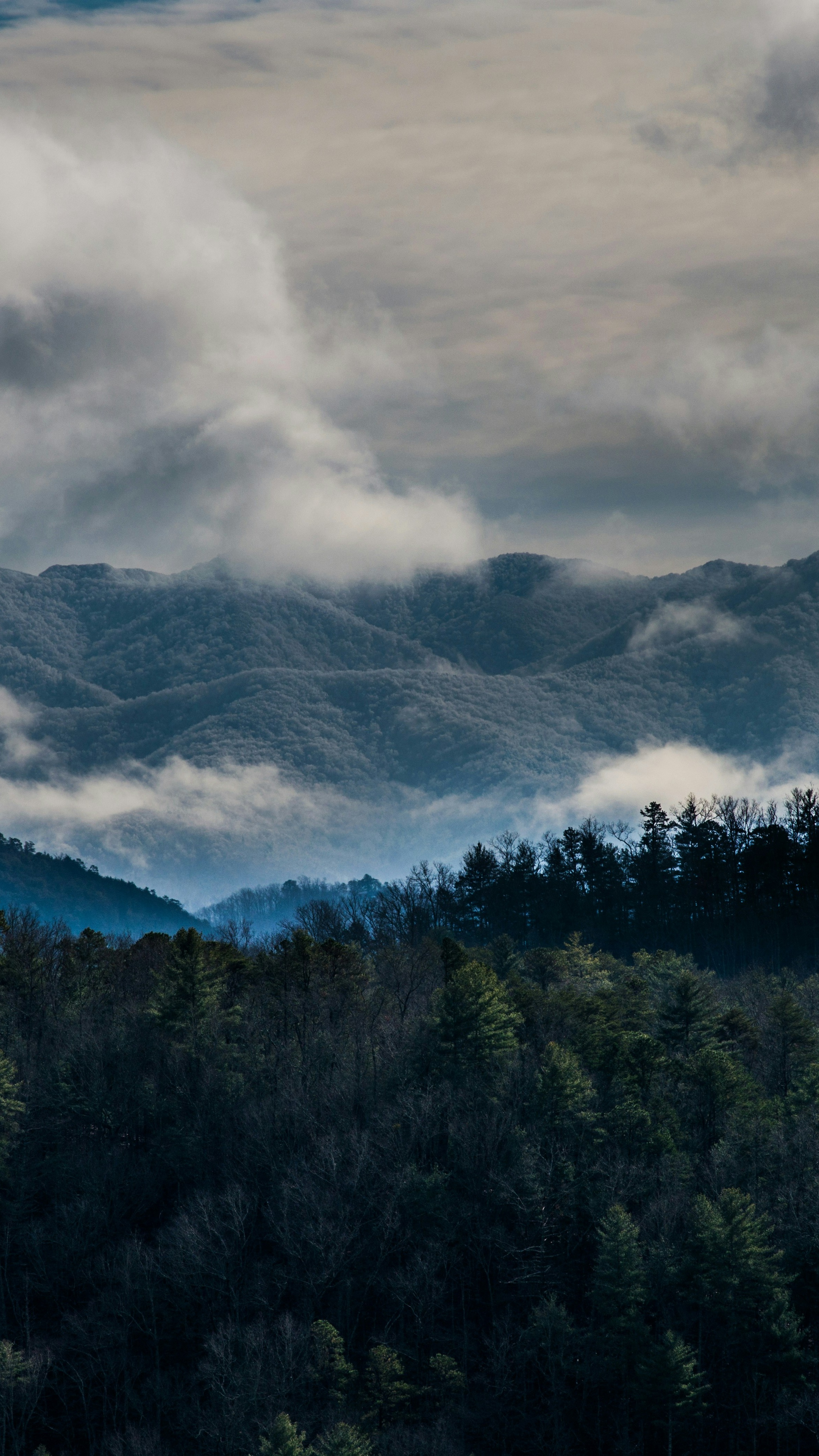 Landscapes