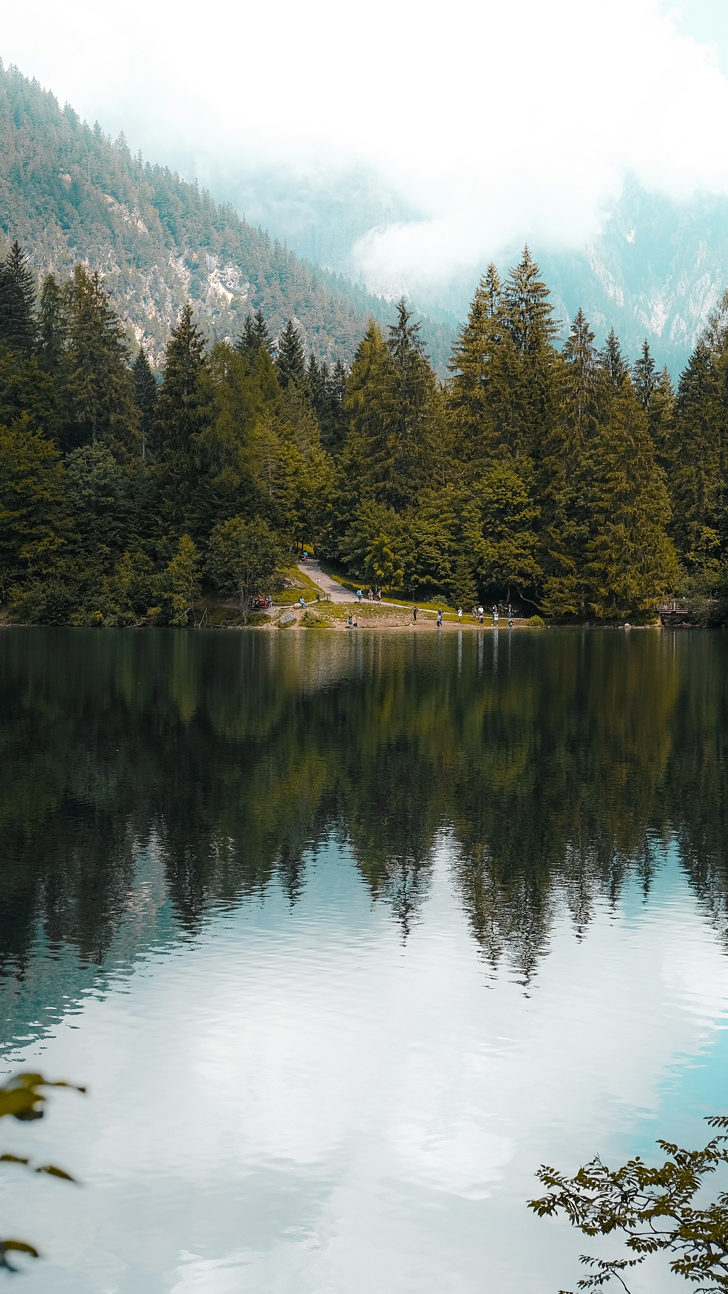Wallpapers