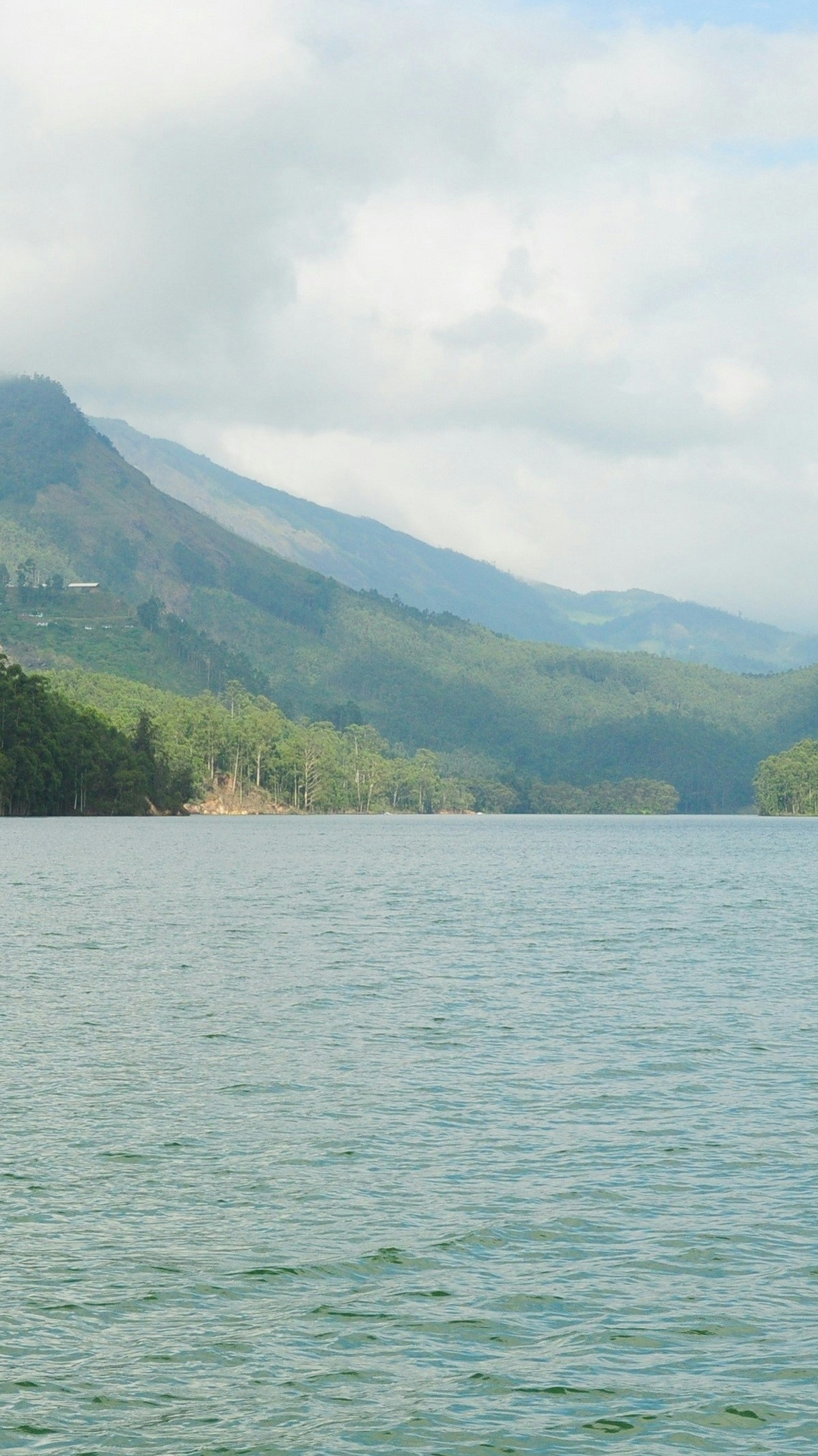 Landscapes