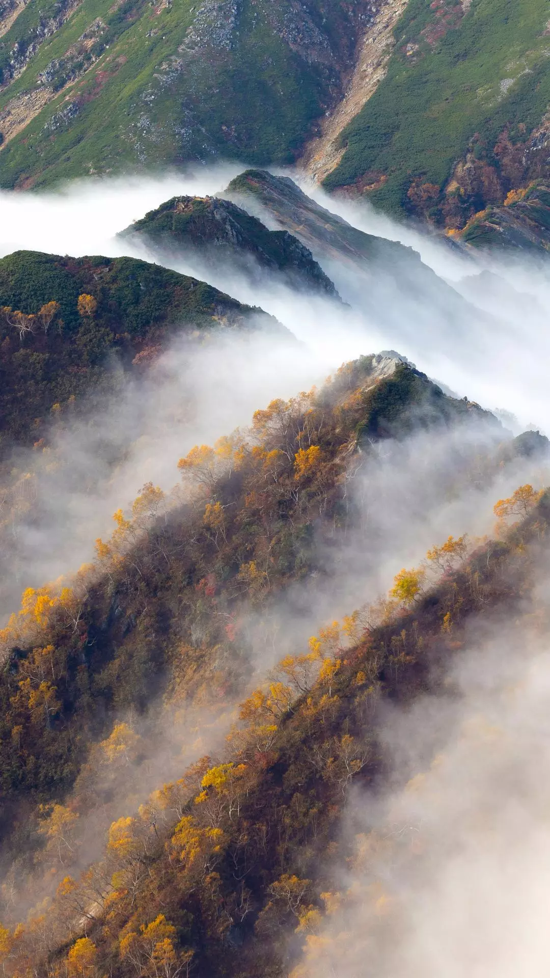 Landscapes