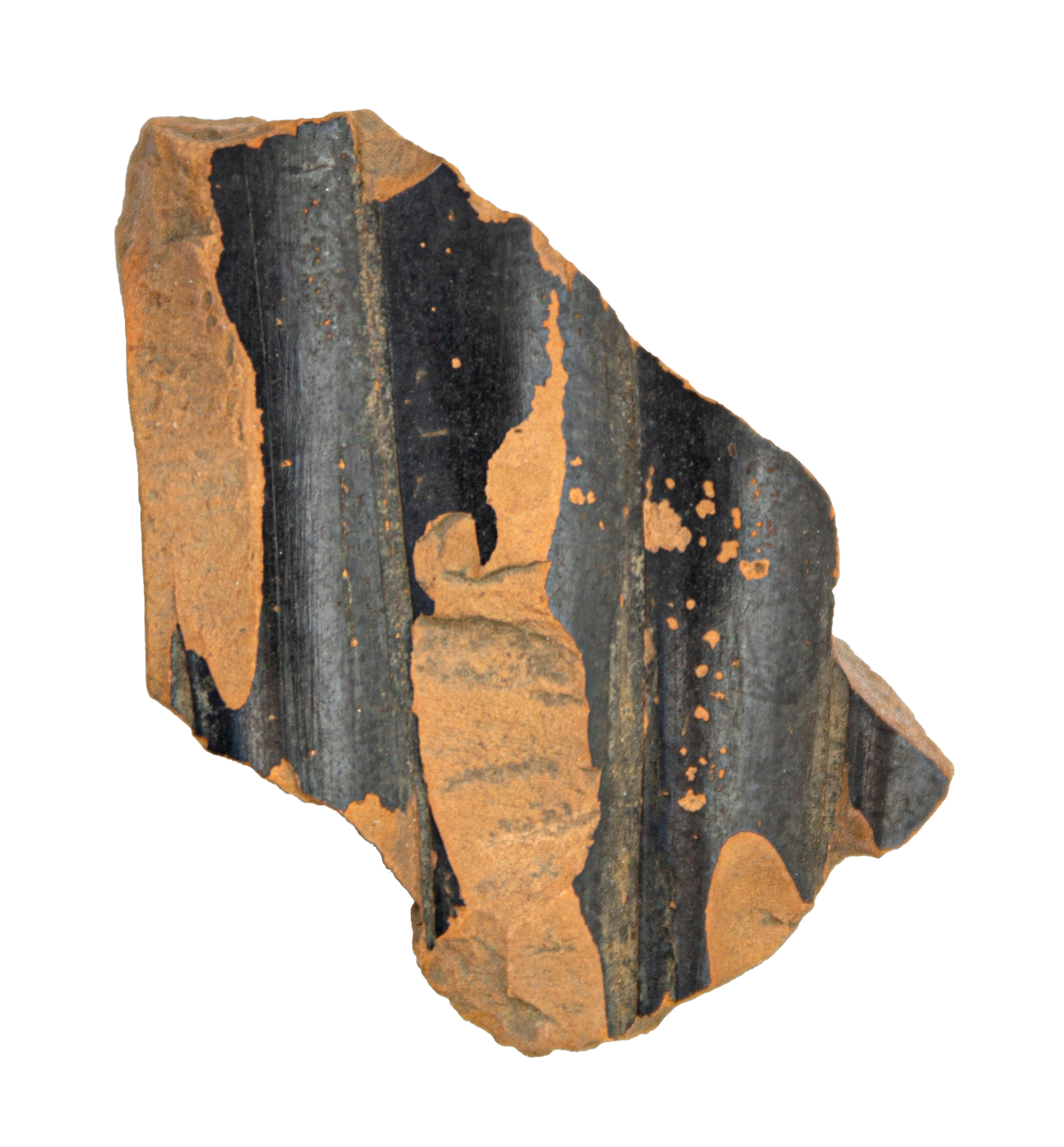 Black Striated Rock Specimen — Science