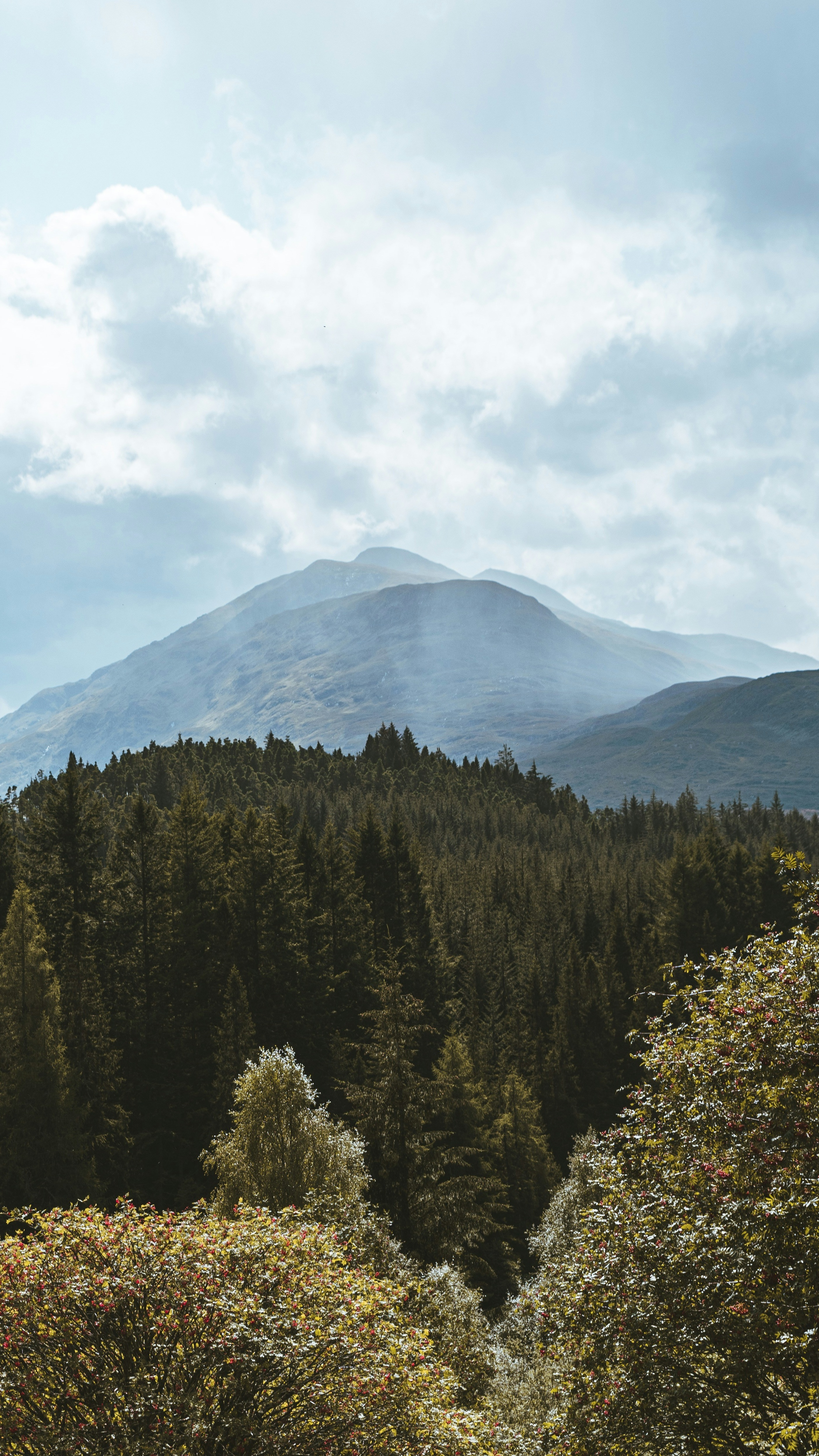 Landscapes