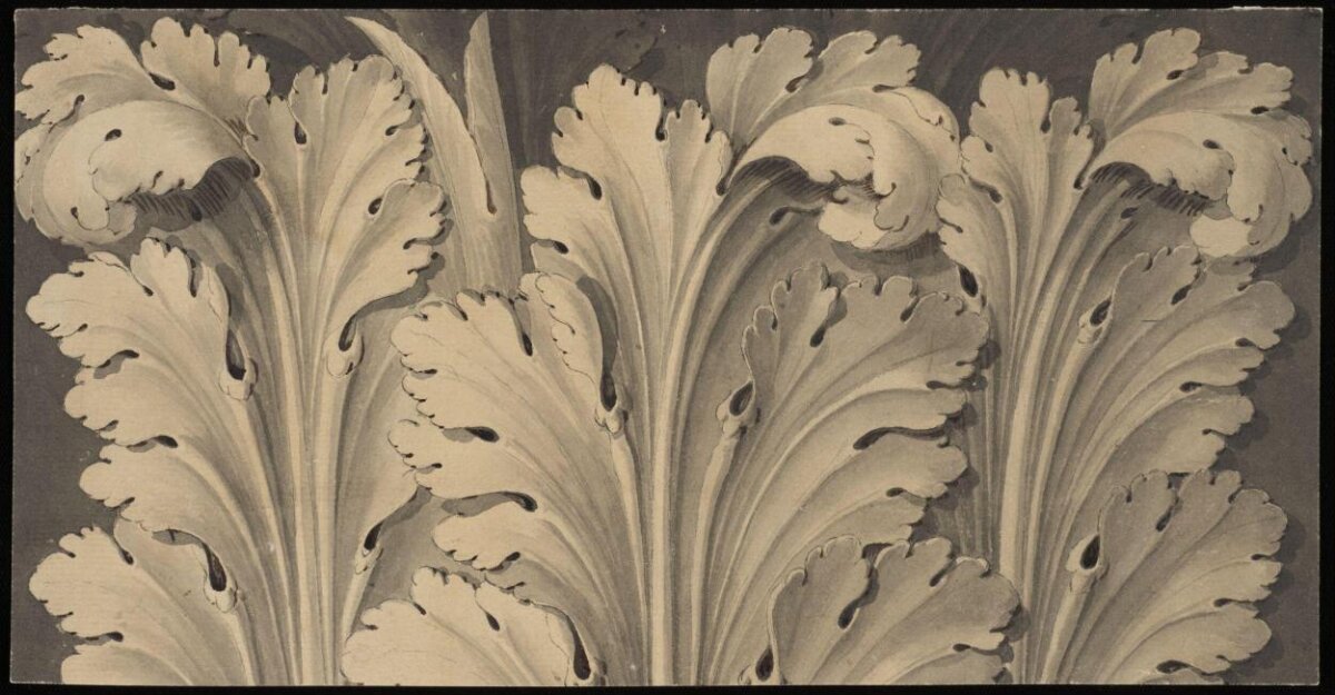 Acanthus Leaf Ornament Drawing