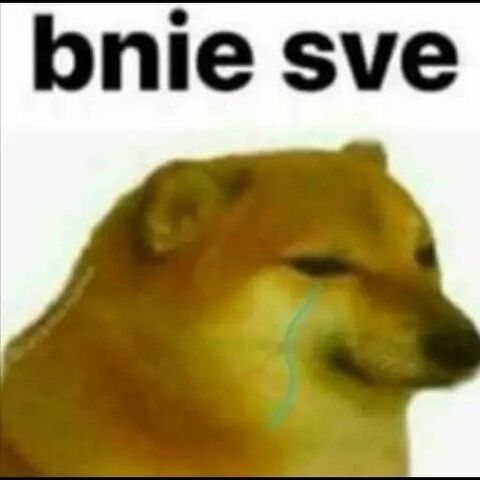 Sad Crying Dog Meme