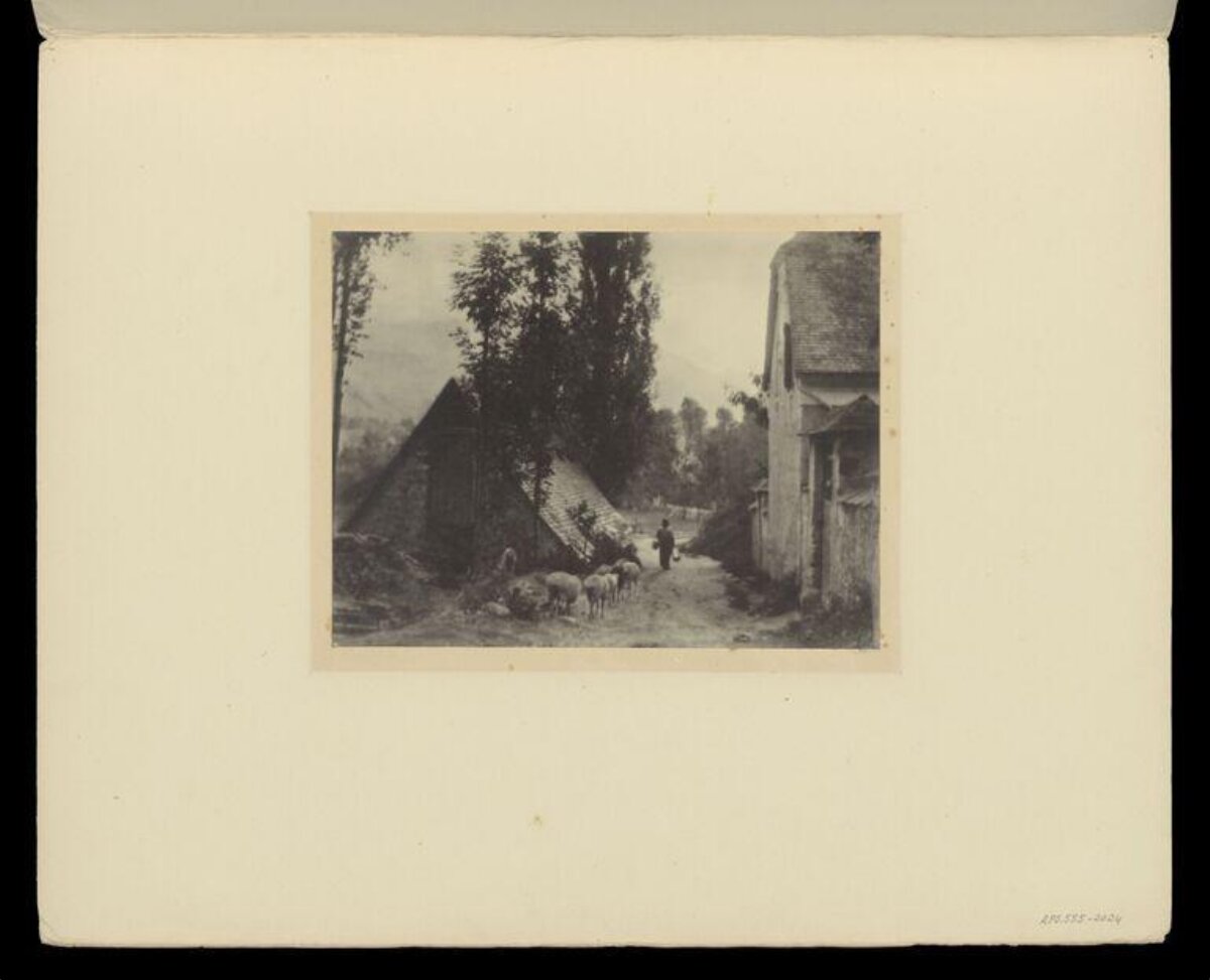 Shepherd and Sheep on Village Path