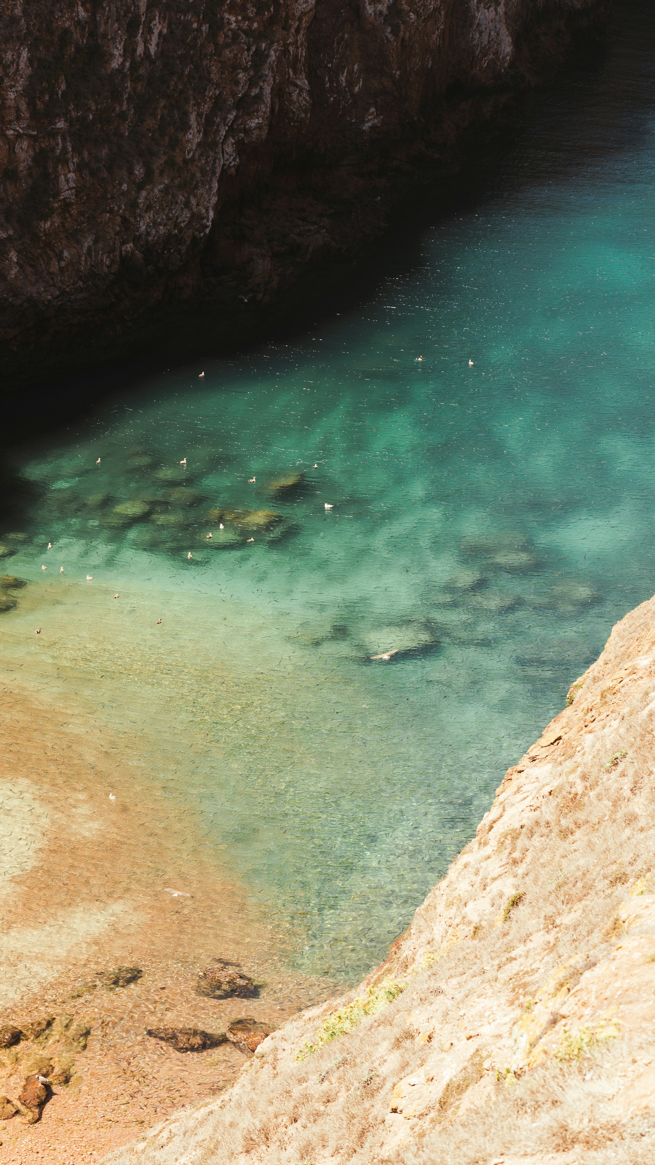 Wallpapers