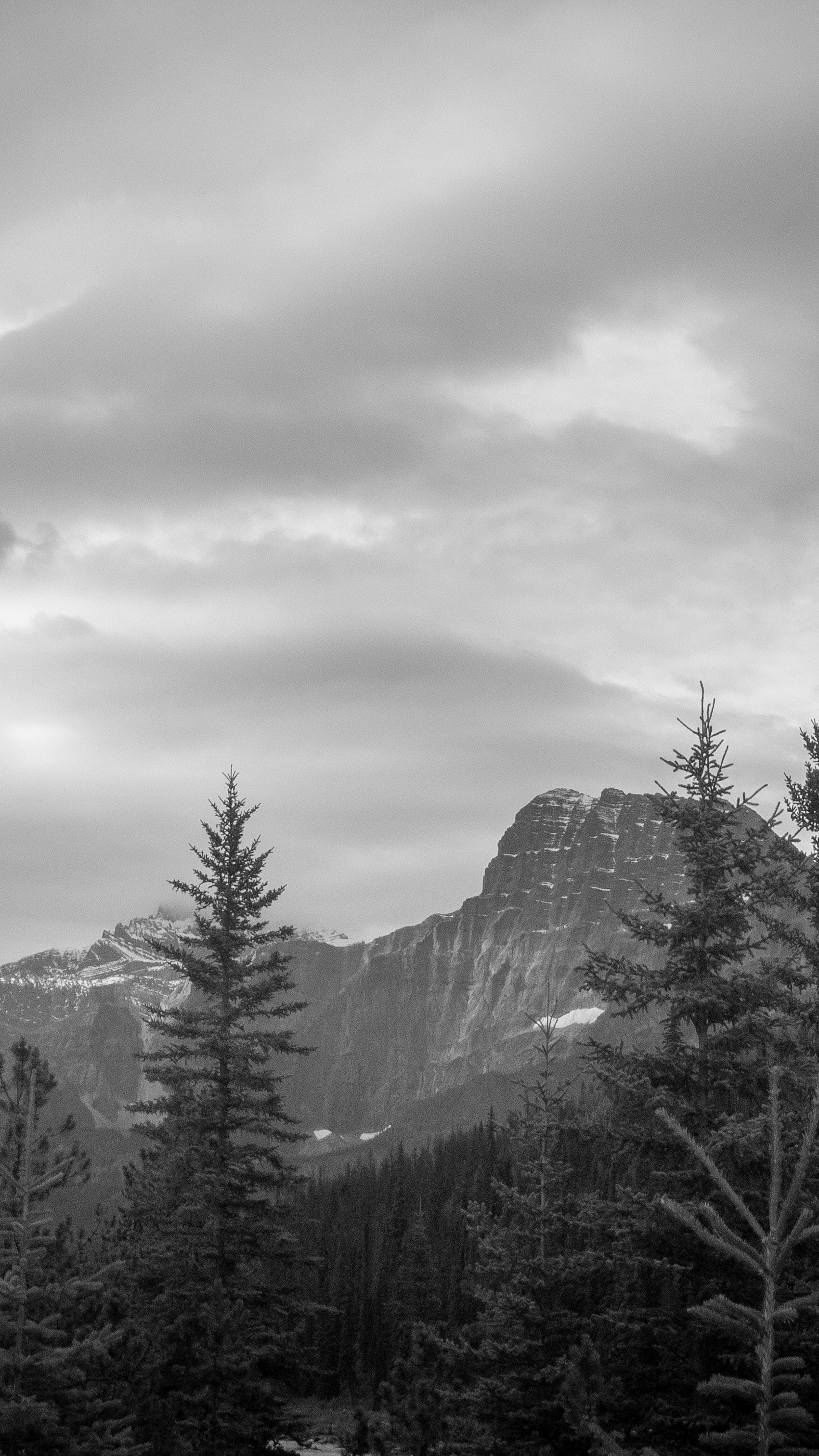 Overcast Snowy Mountain Forest View