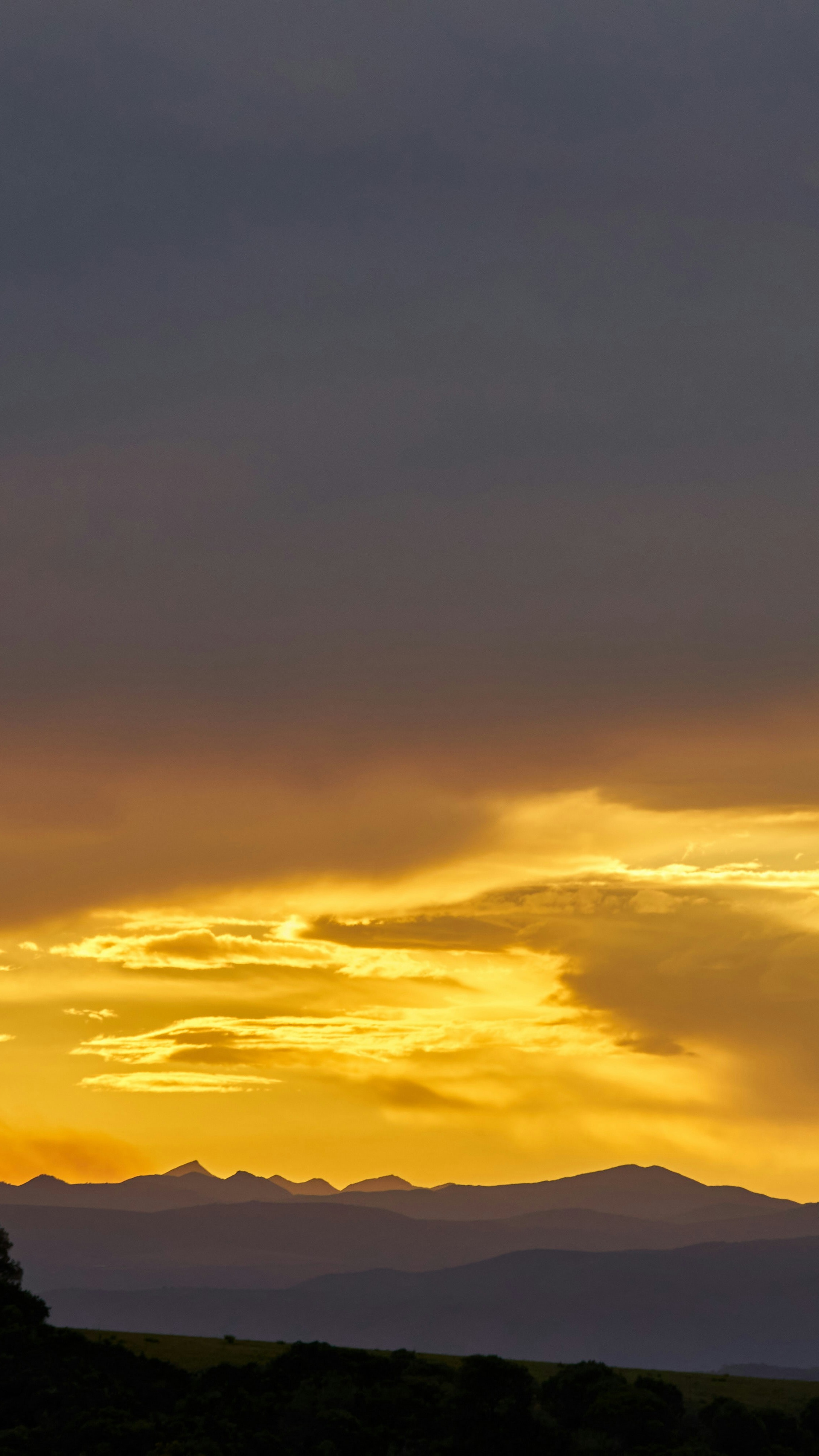 Landscapes