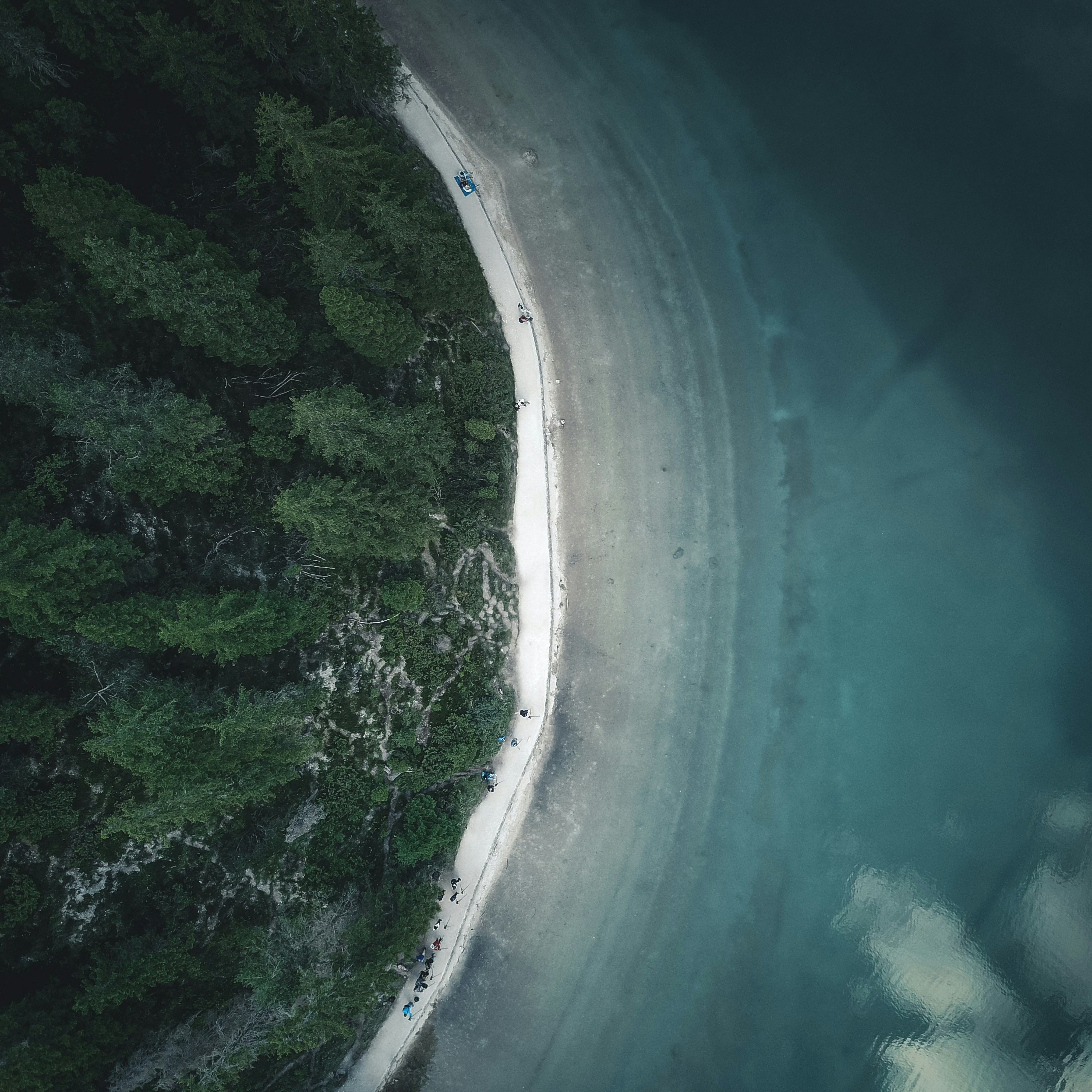 Aerial View of Lakeside Forest Shore