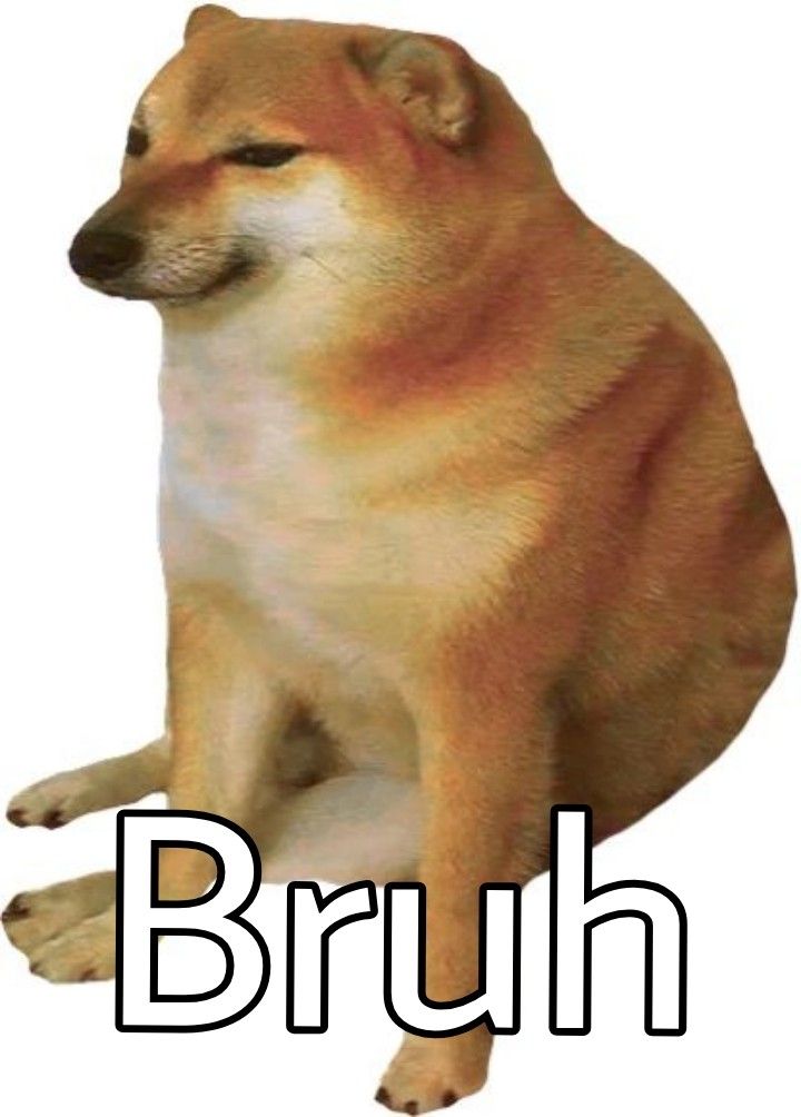 Bruh Shiba Inu Meme