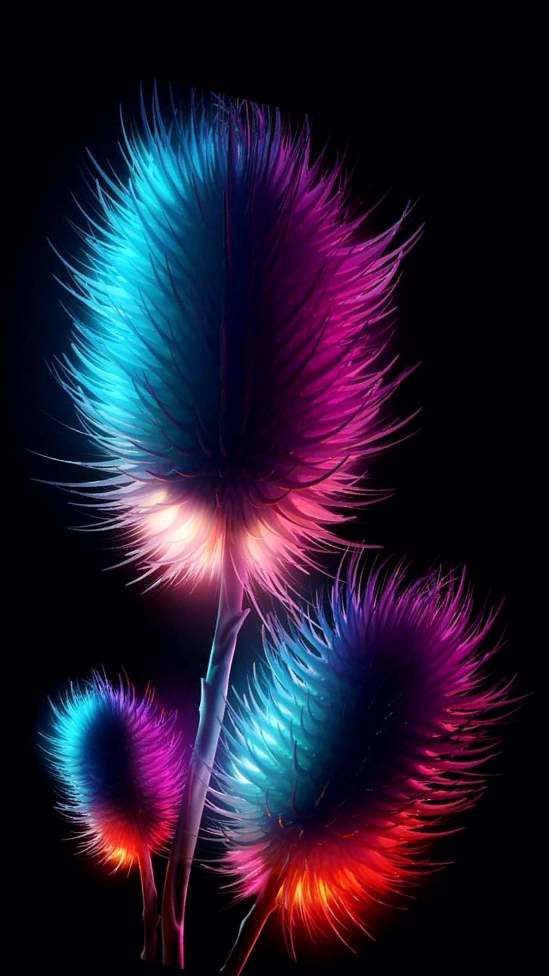 Wallpapers