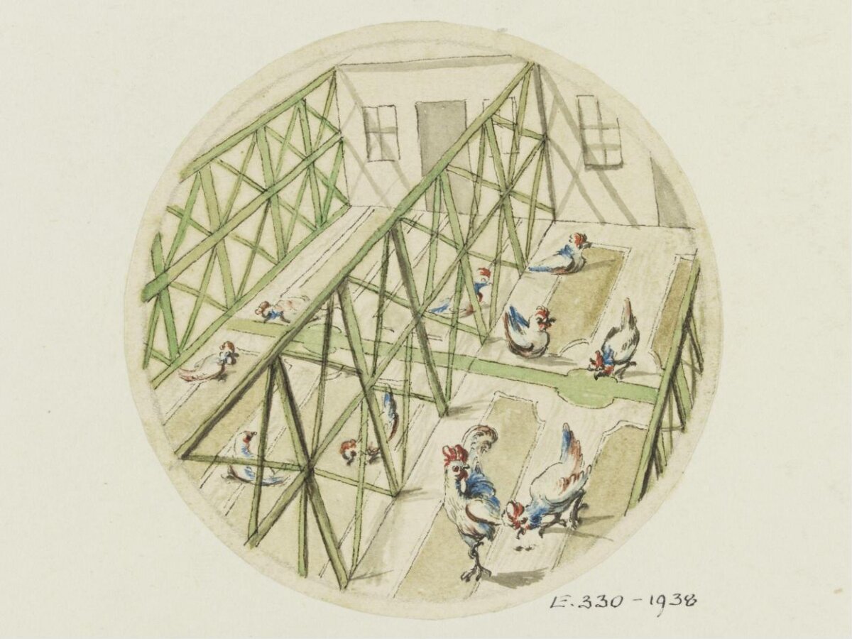 Watercolor Sketch of Chickens in Coop
