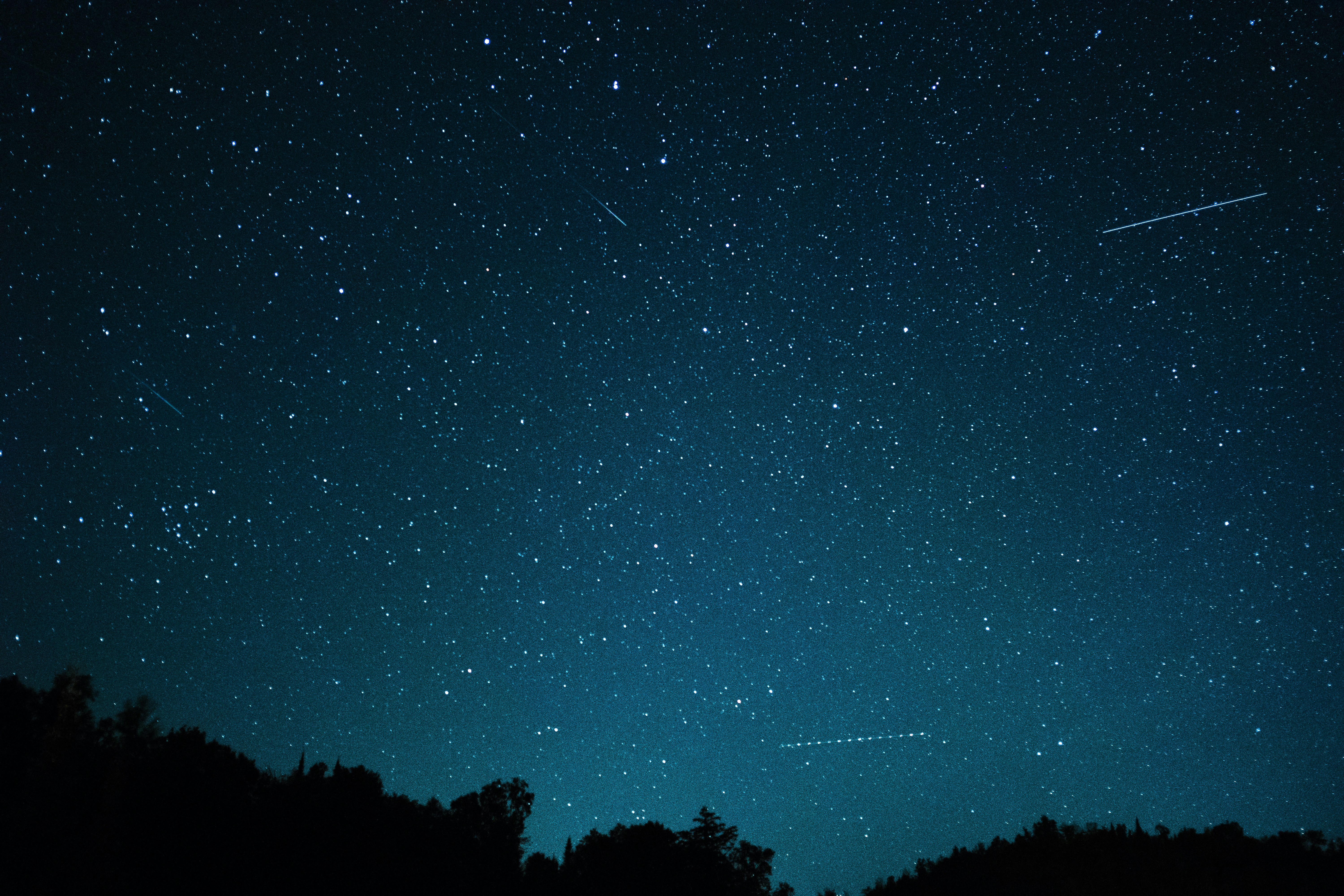 Meteor Shower Over Forest Night Sky