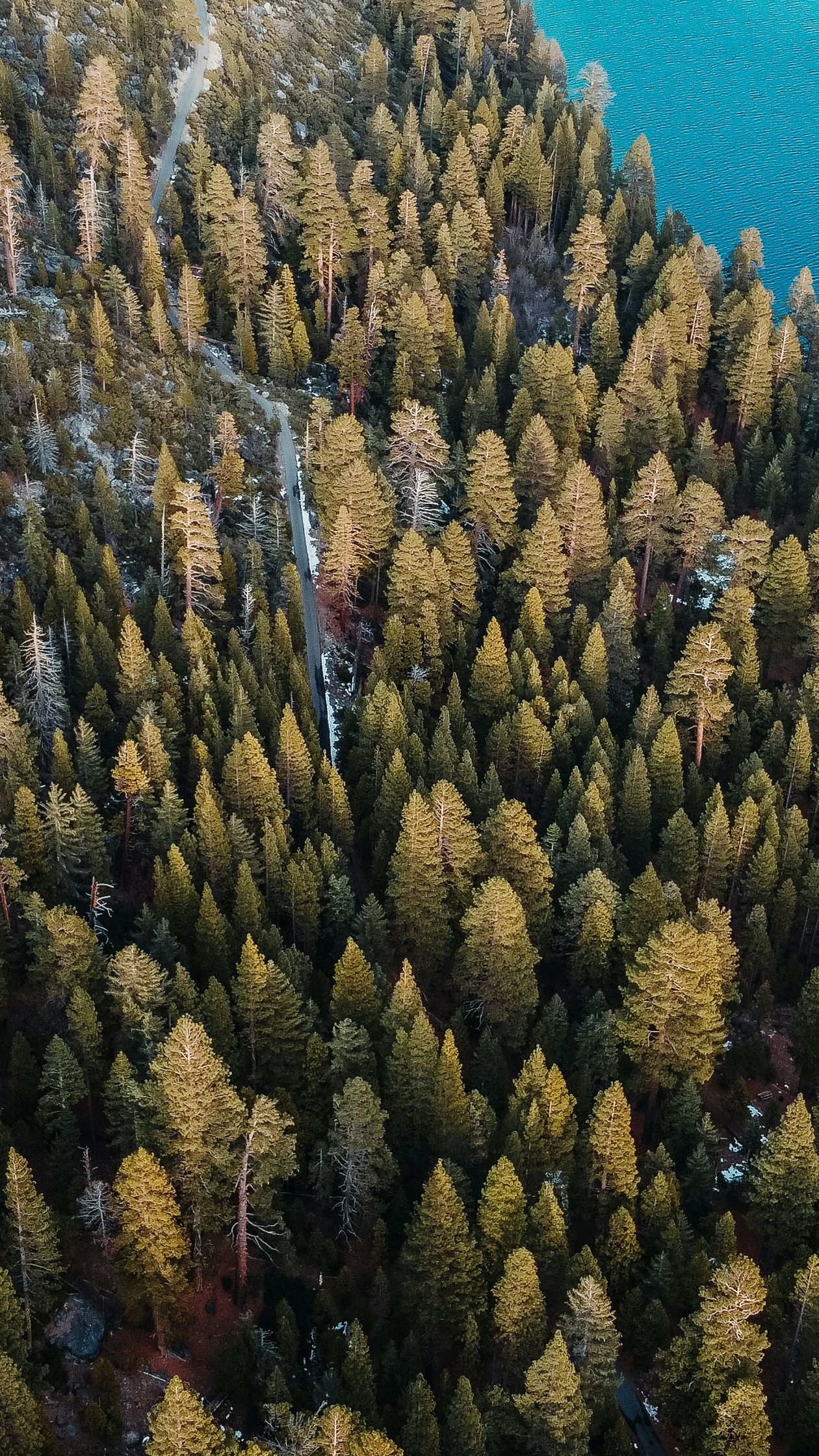 Wallpapers