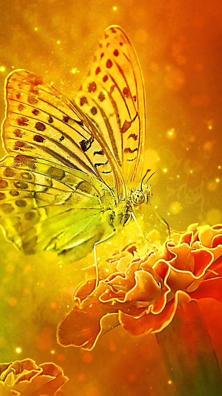 Wallpapers