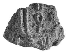 Gray Porous Rock Specimen