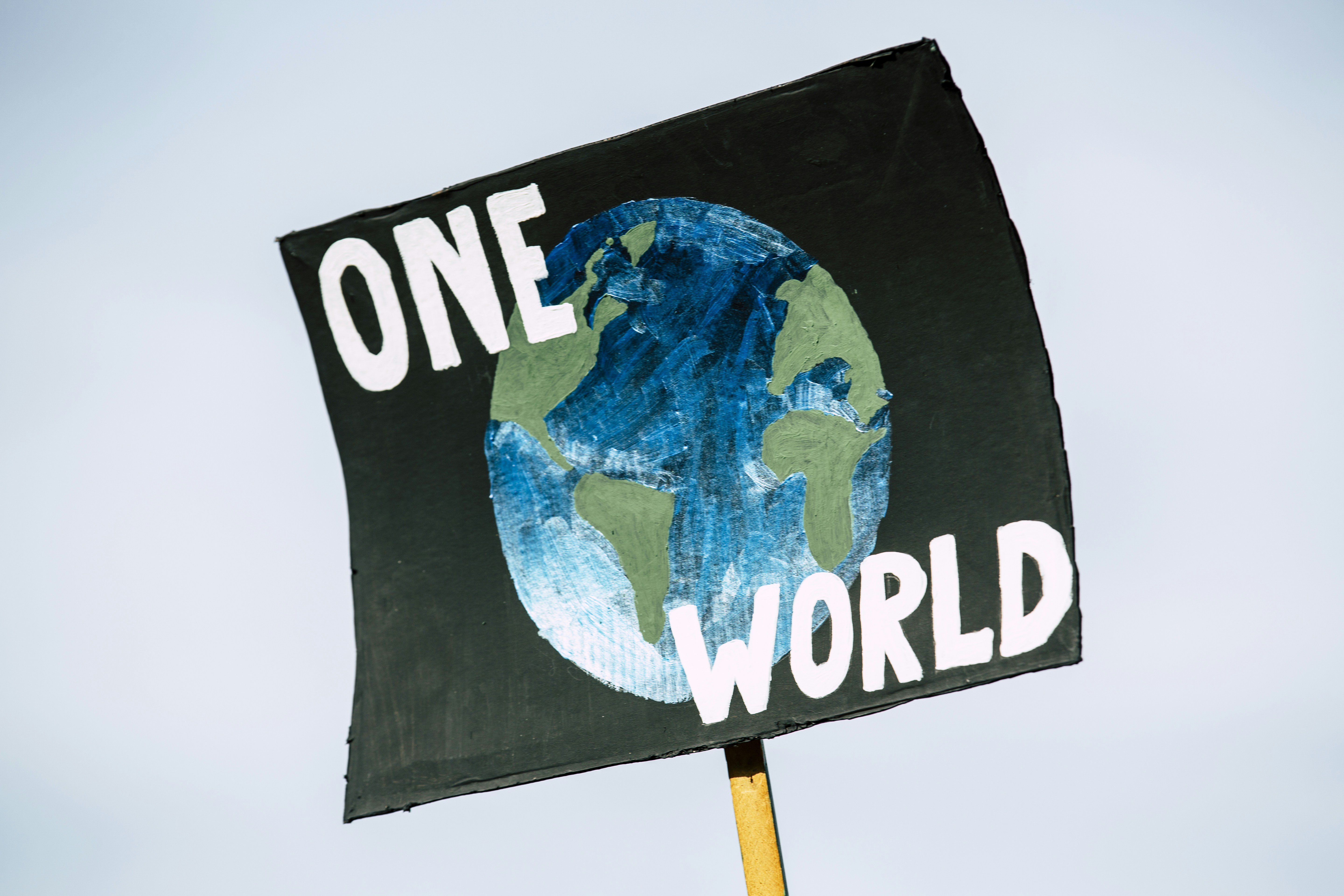 One World Environmental Protest Sign