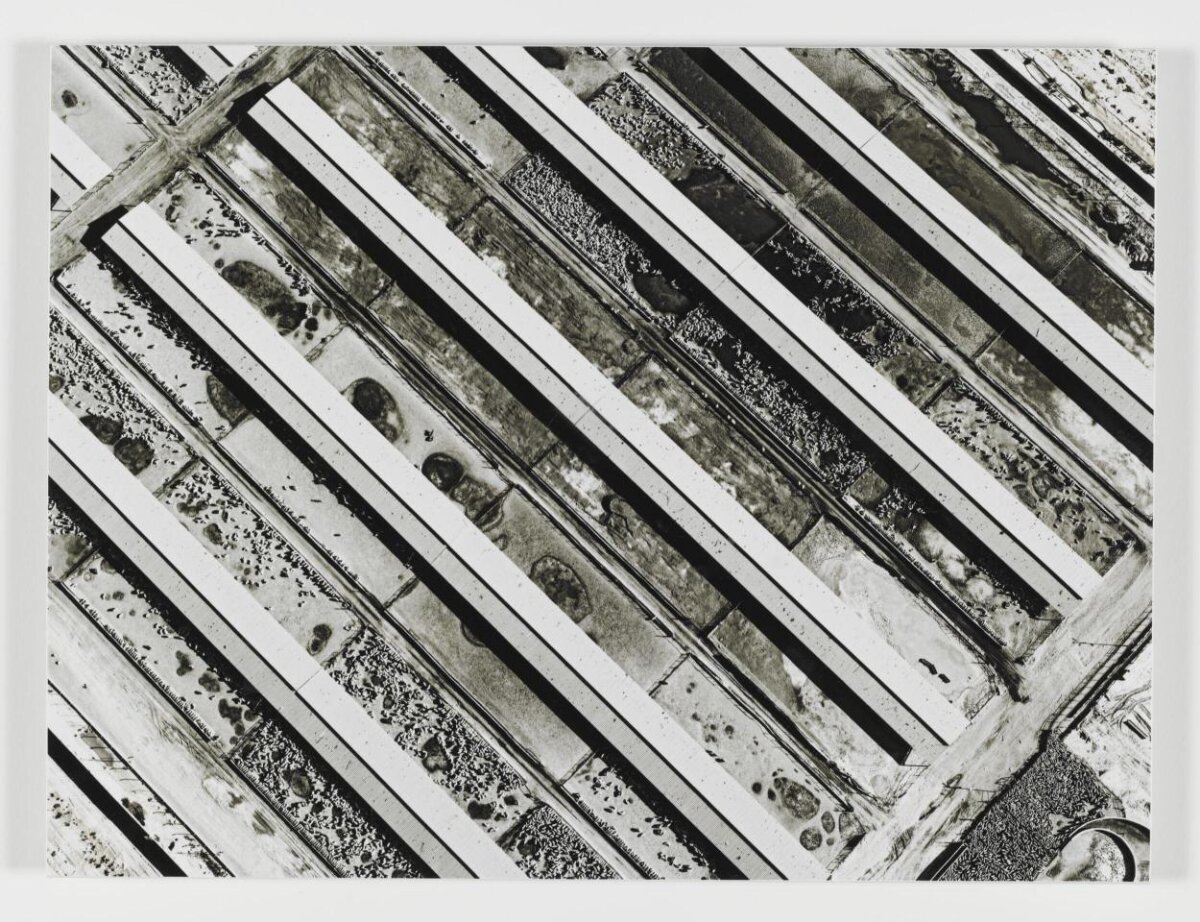 Aerial View of Cattle Feedlots