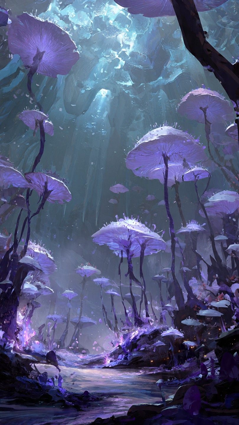 Wallpapers