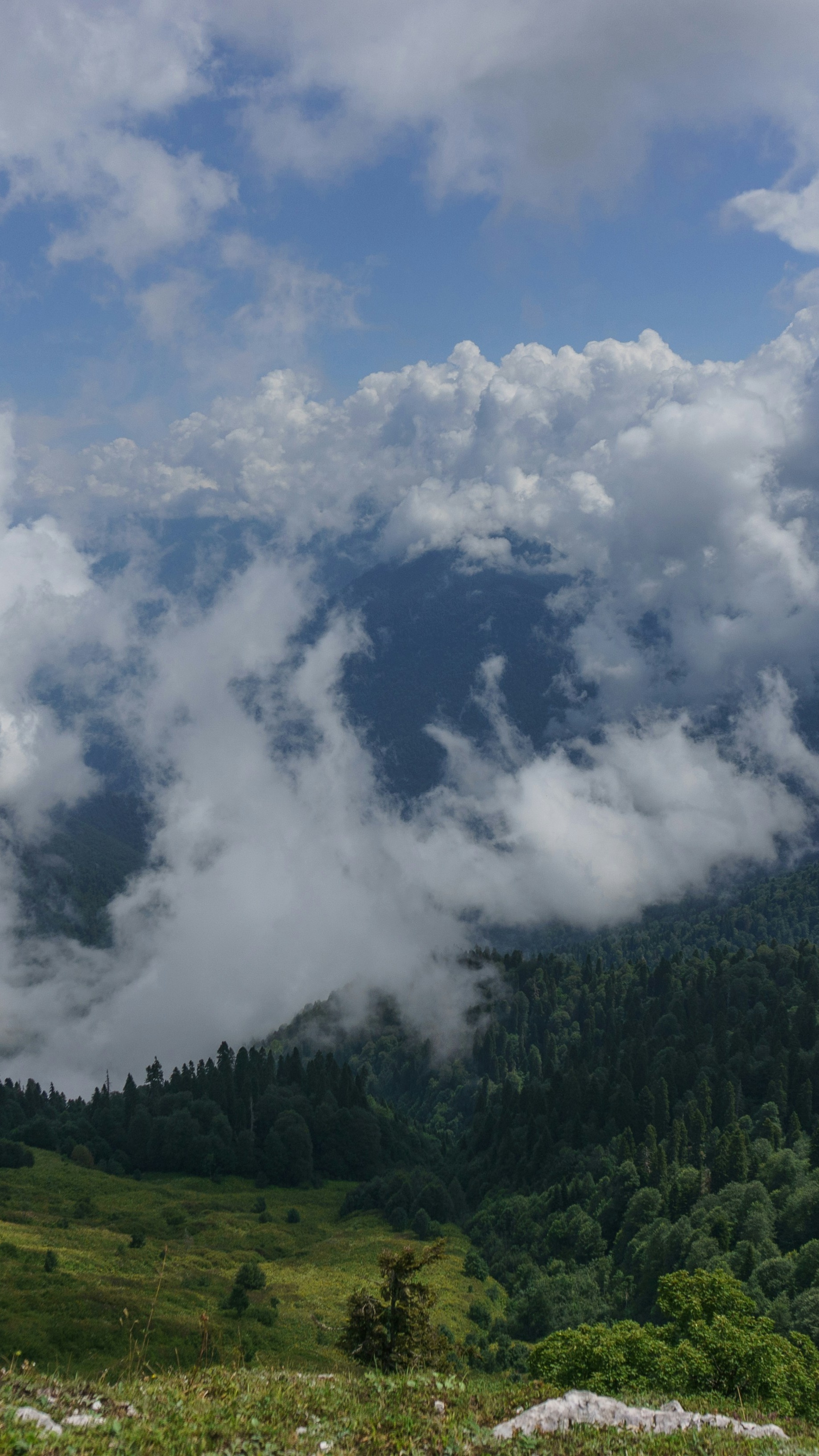 Landscapes
