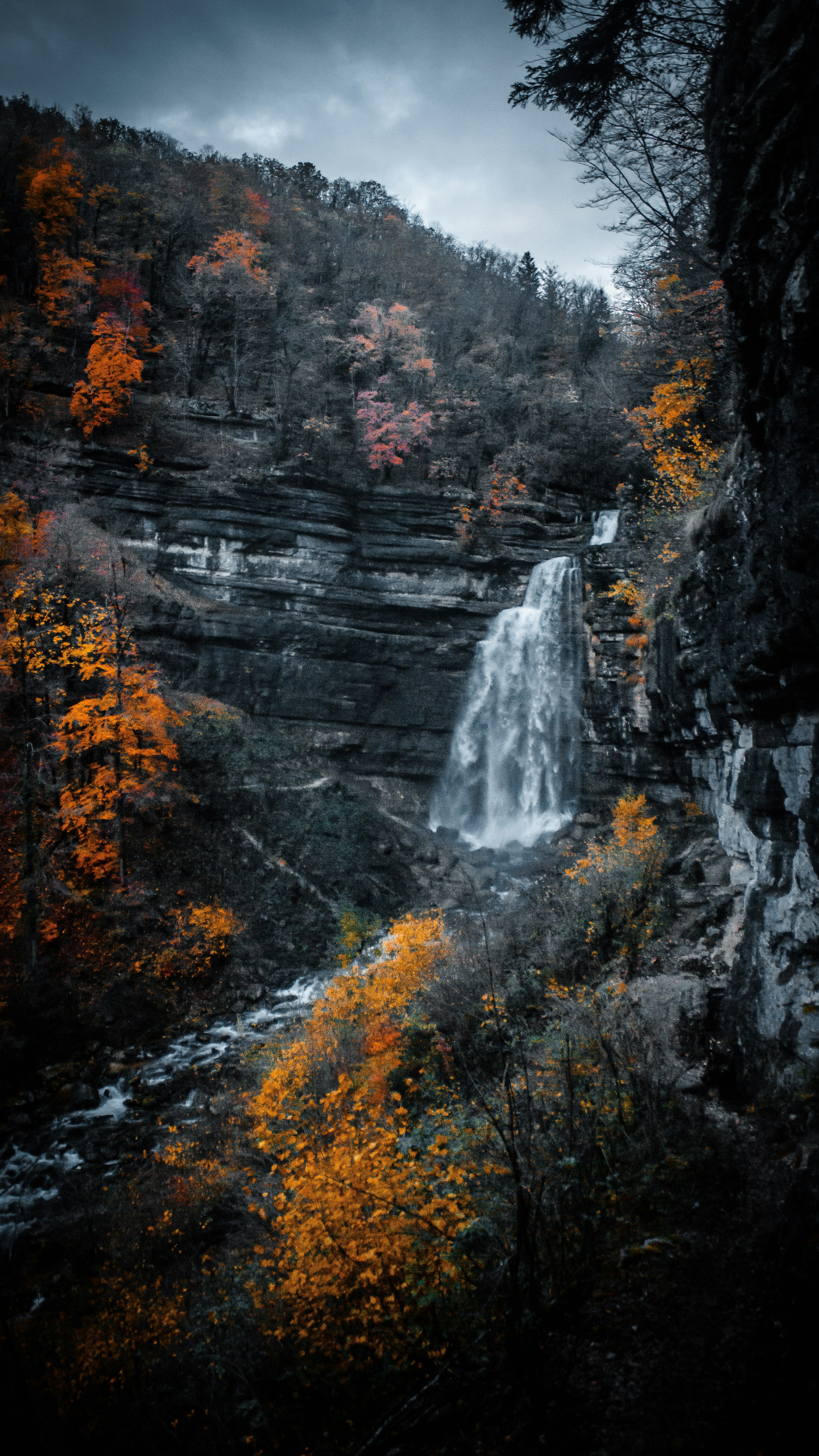 Wallpapers