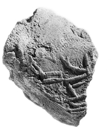 Inscribed Ancient Pottery Fragment