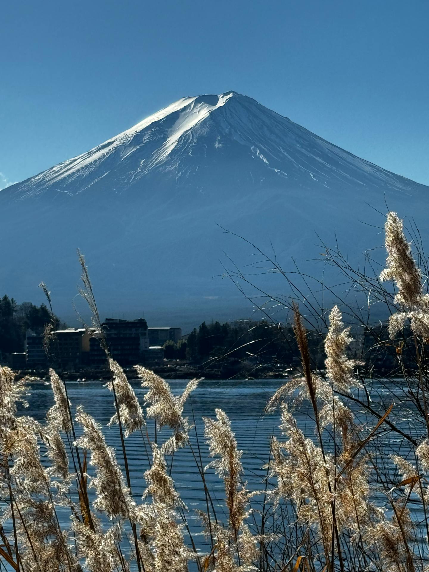 Mount Fuji Lake View