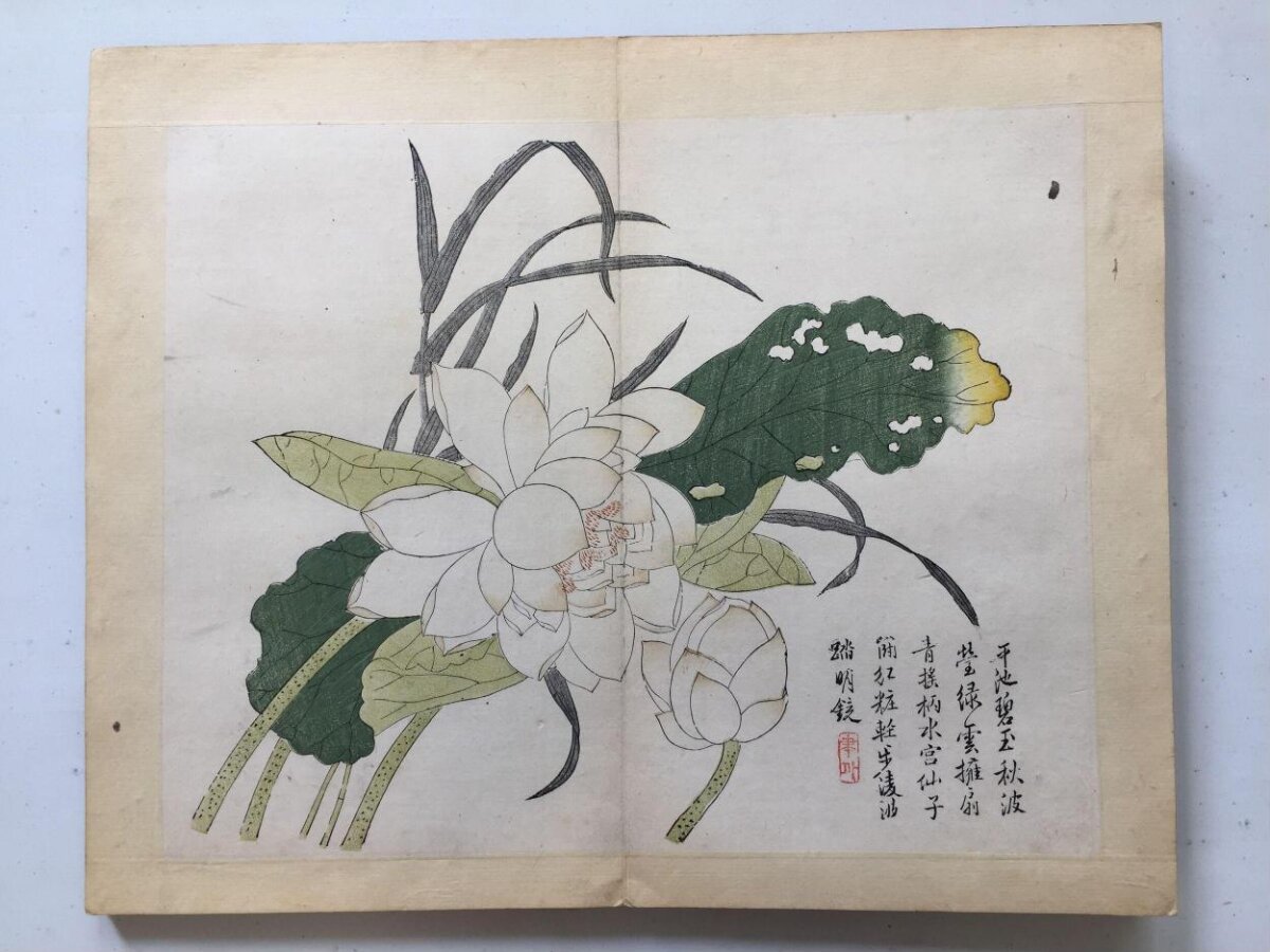 Traditional Chinese White Lotus Painting