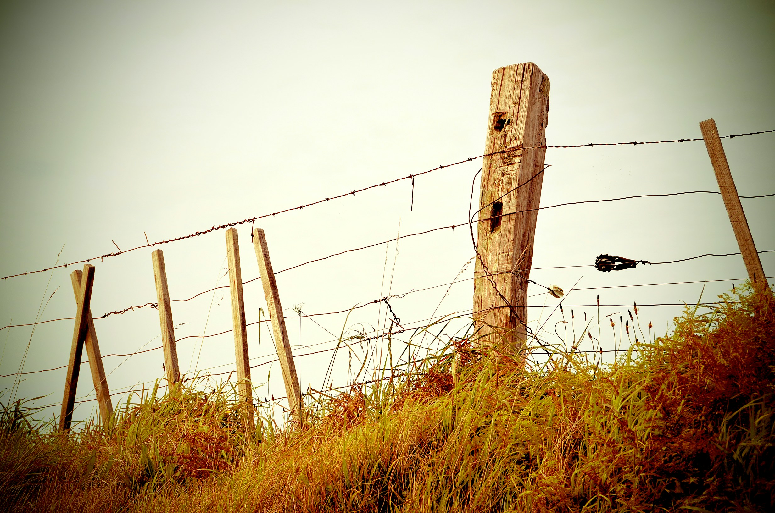 Old Barbed Wire Fence on Grass Slope