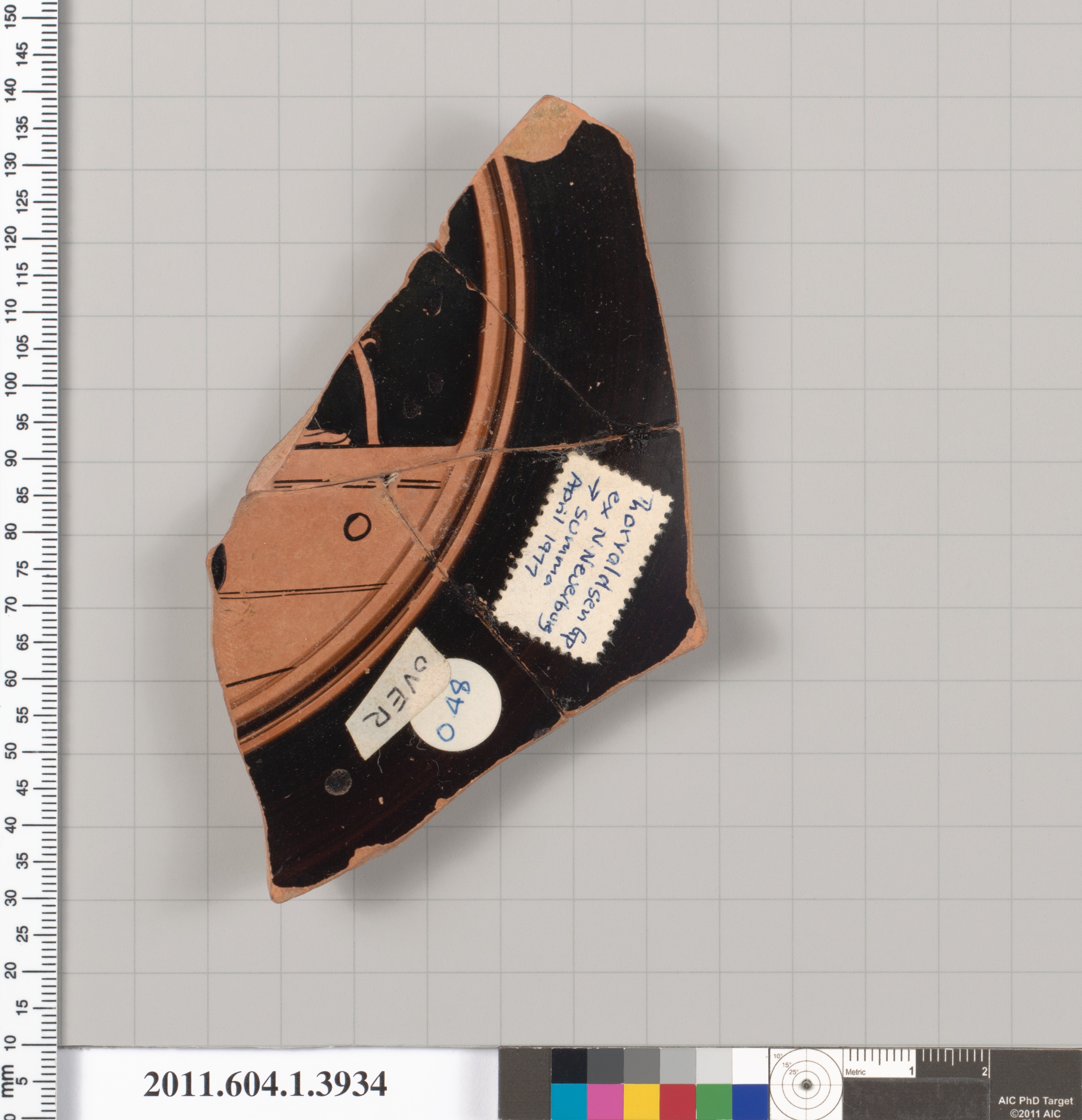 Ancient Terracotta Pottery Fragment