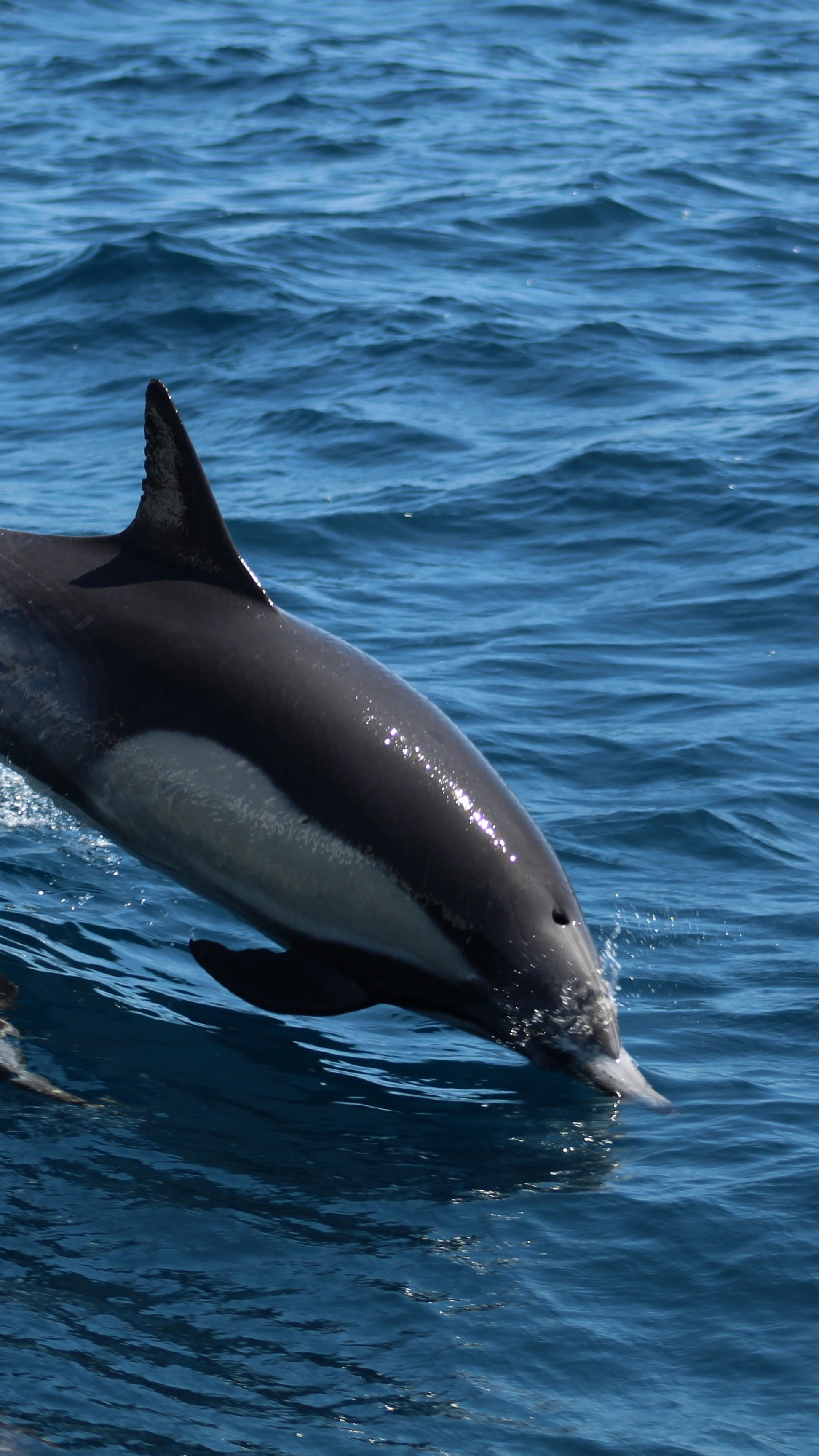 Ocean World