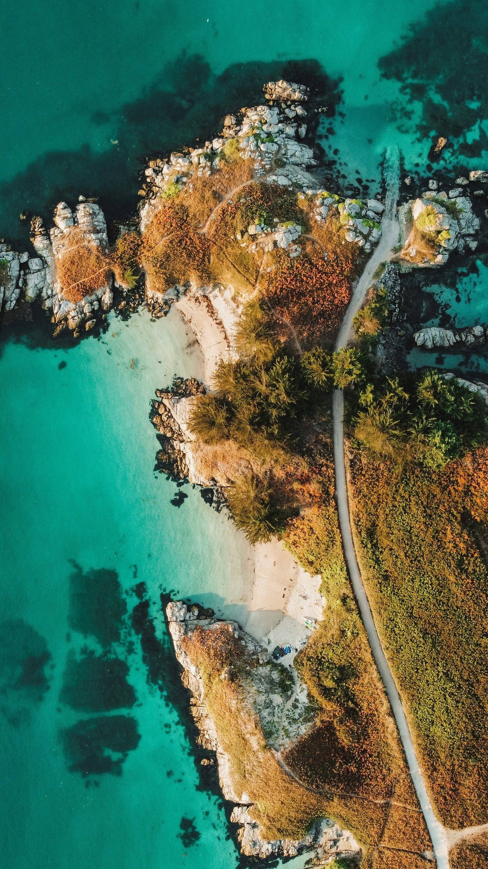 Wallpapers