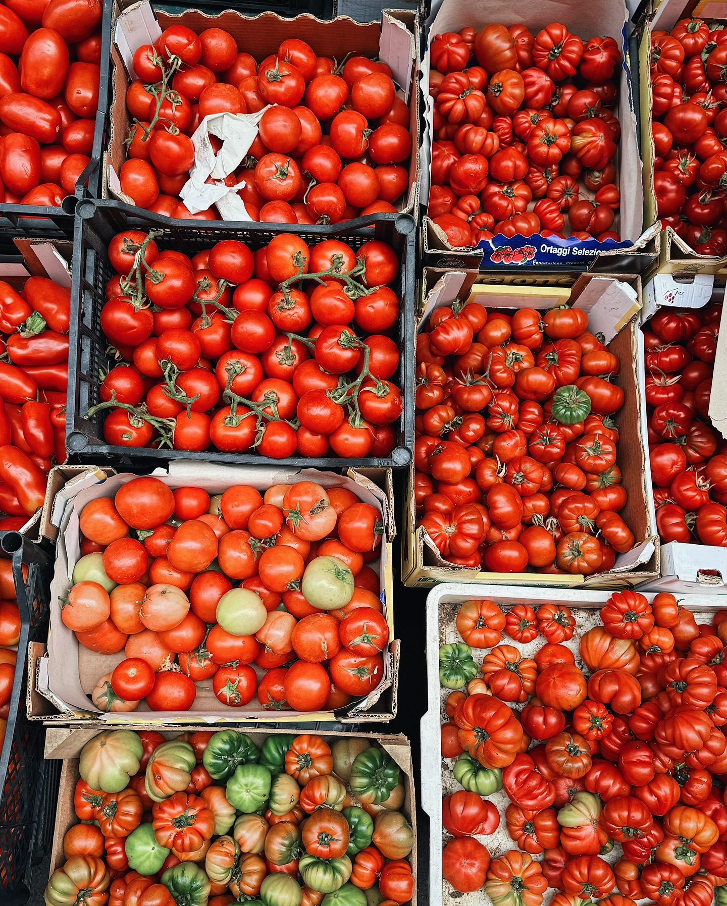 Assorted Tomatoes at Market Stall