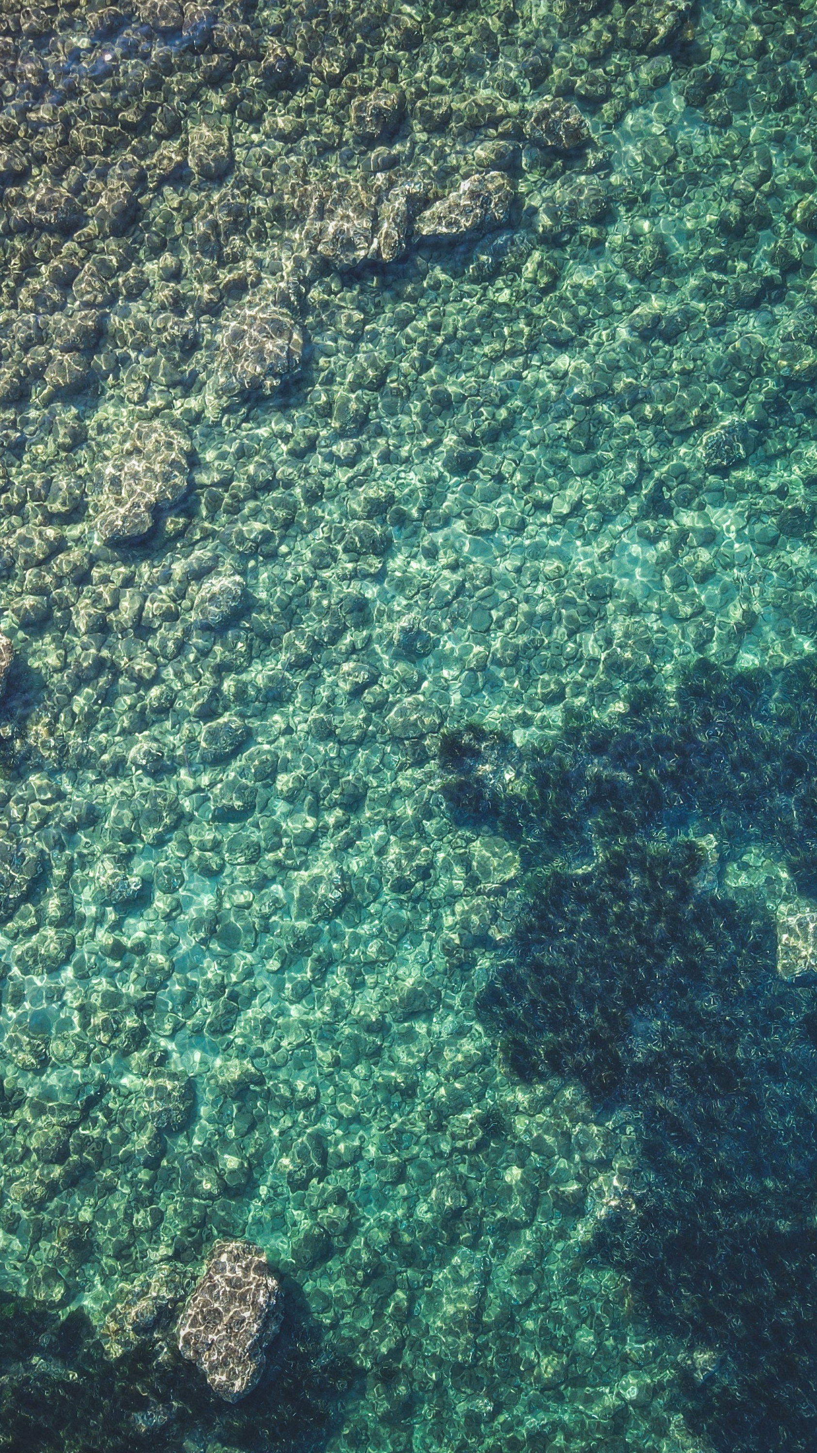 Wallpapers
