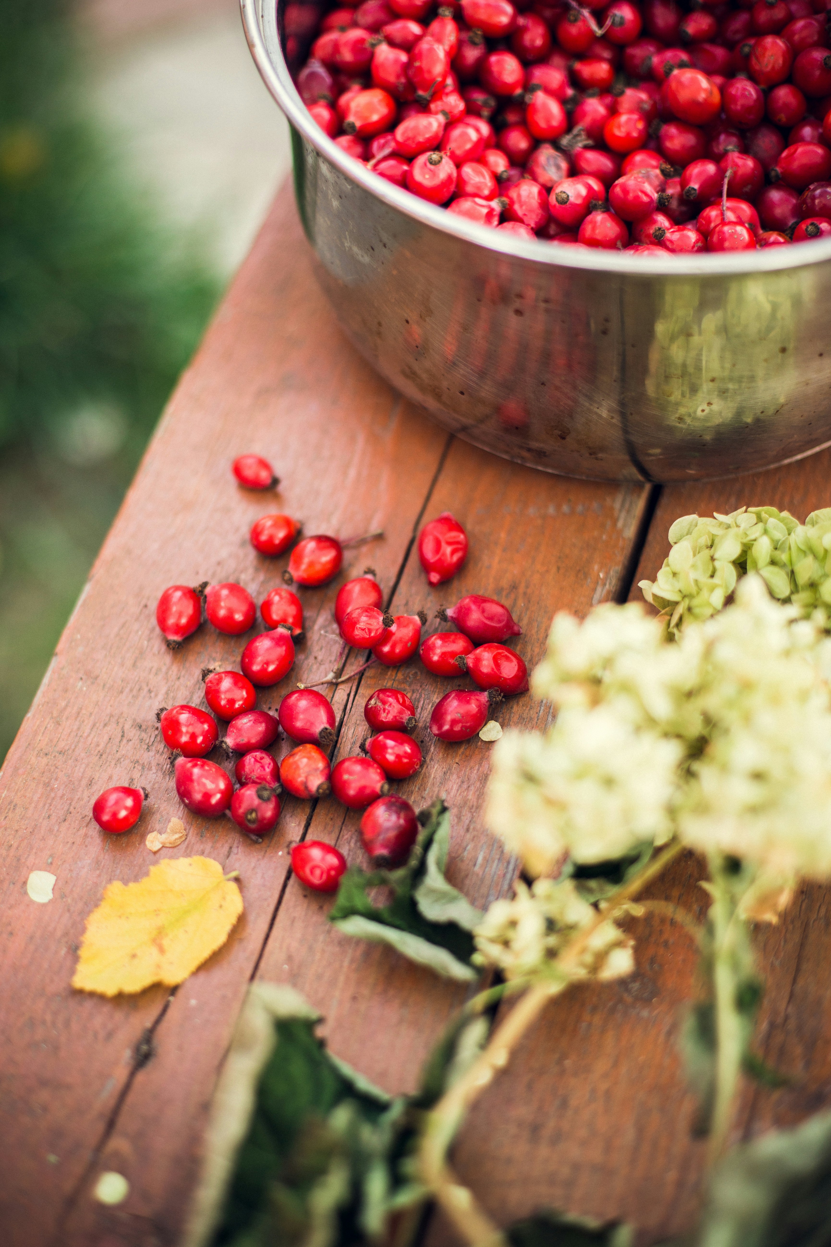 Rose Hips on Wooden Table