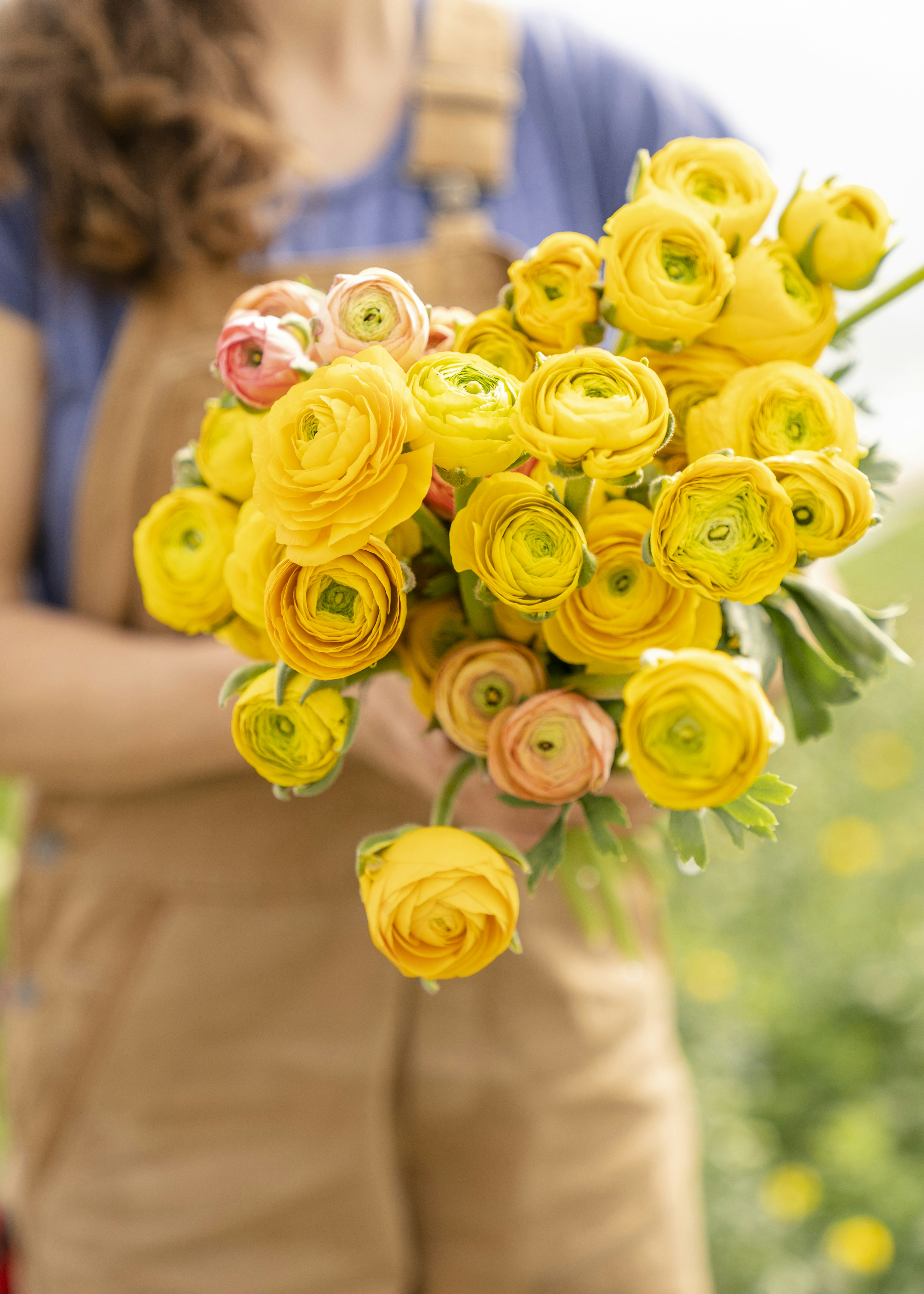Person Holding Yellow Ranunculus Bouquet