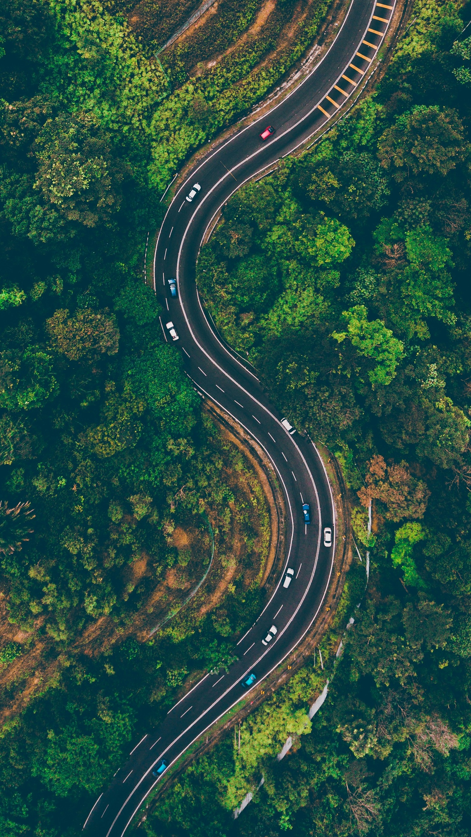 Wallpapers