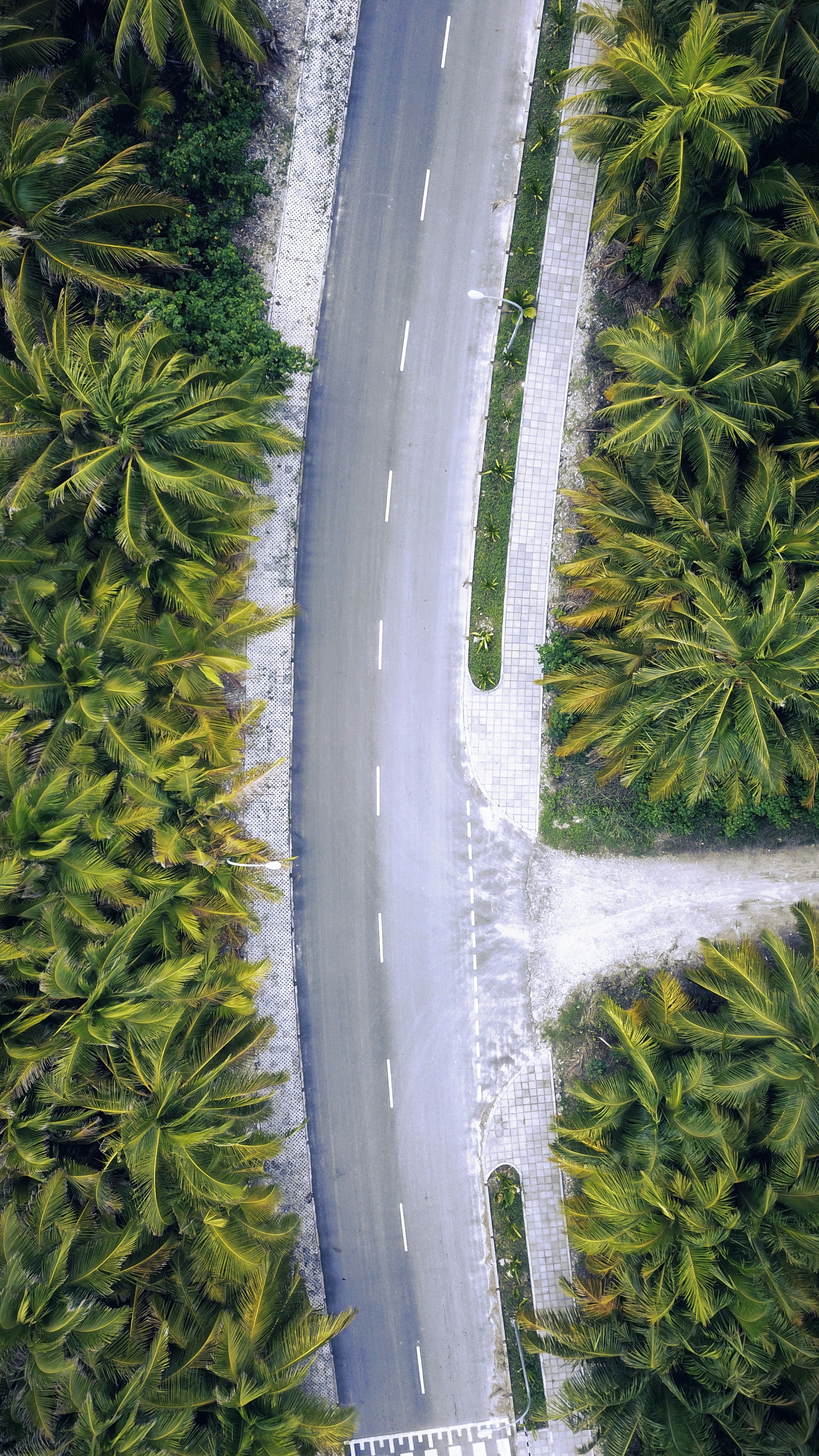 Wallpapers