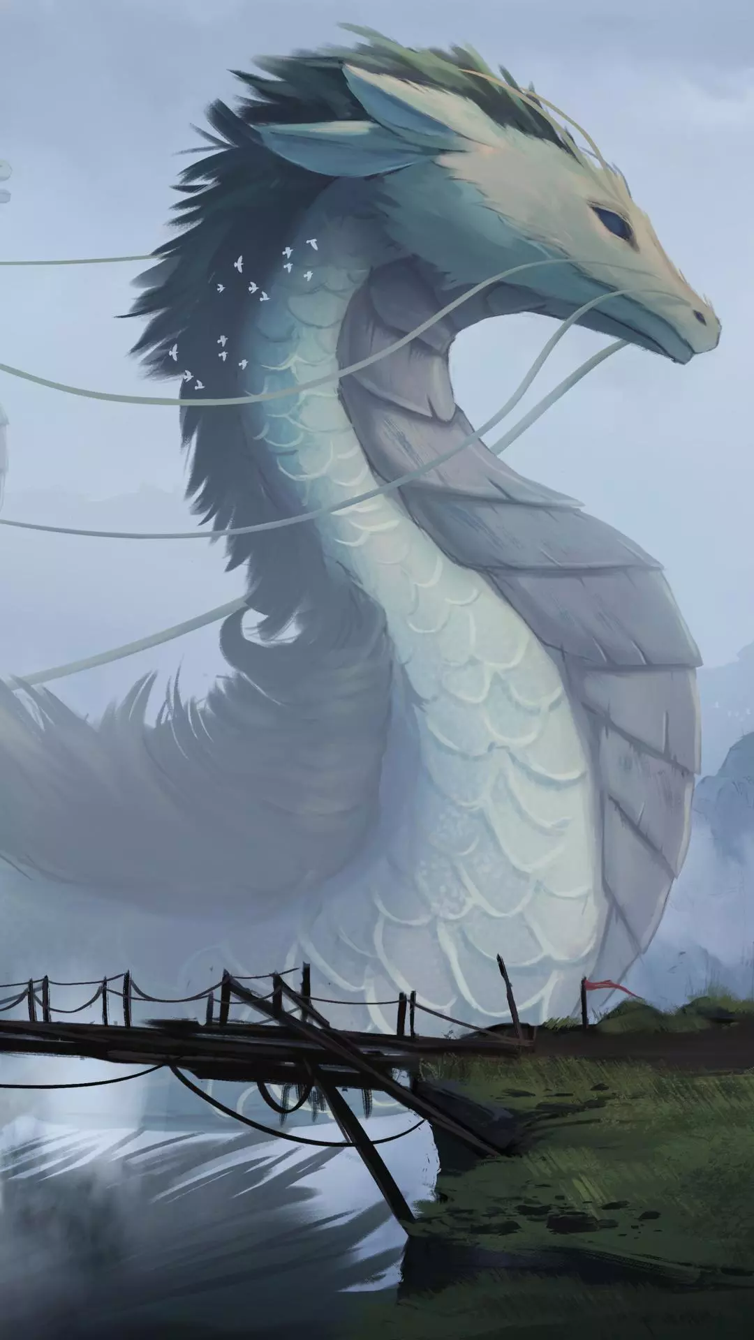 Wallpapers