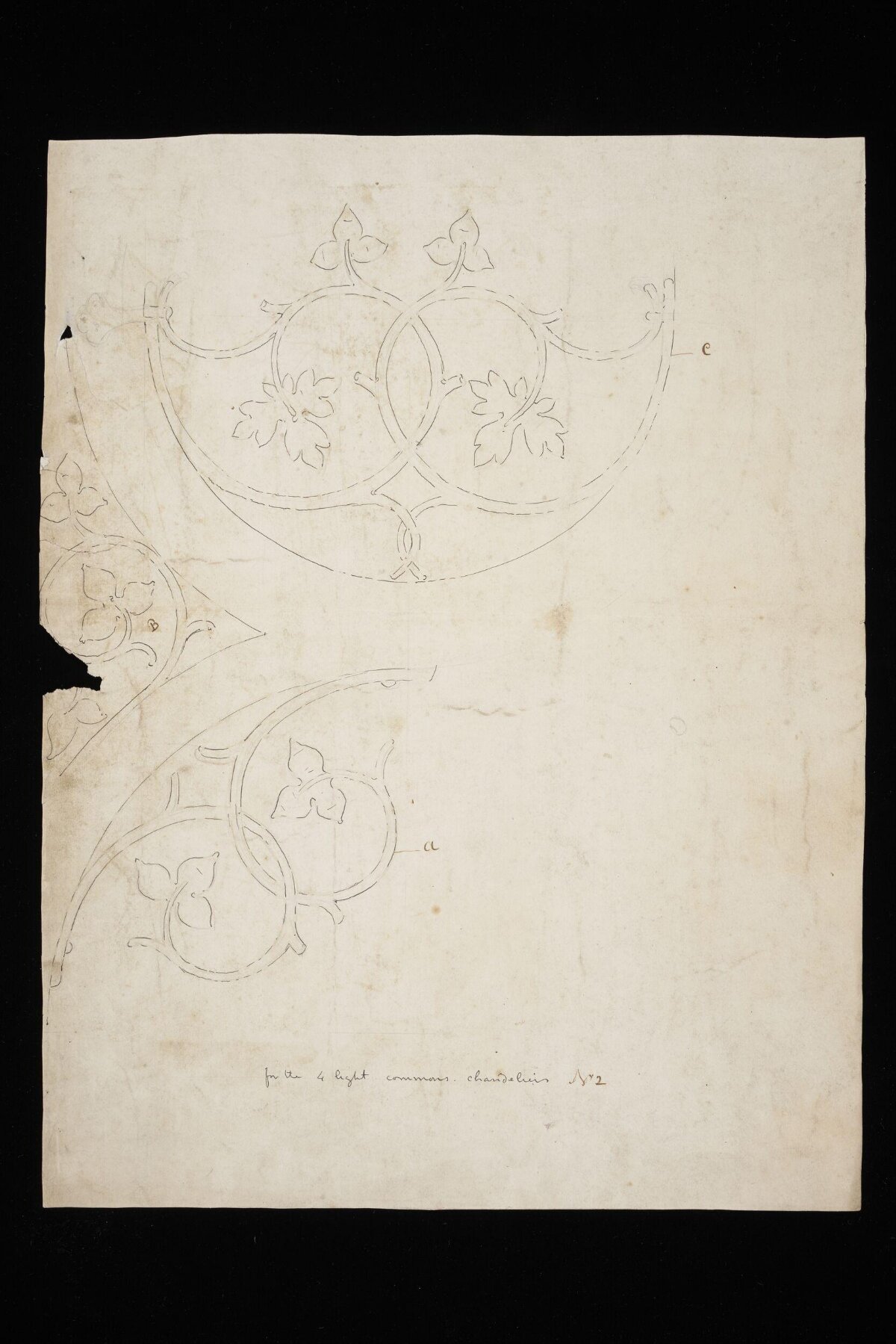 Vine Leaf Decorative Pattern Sketch
