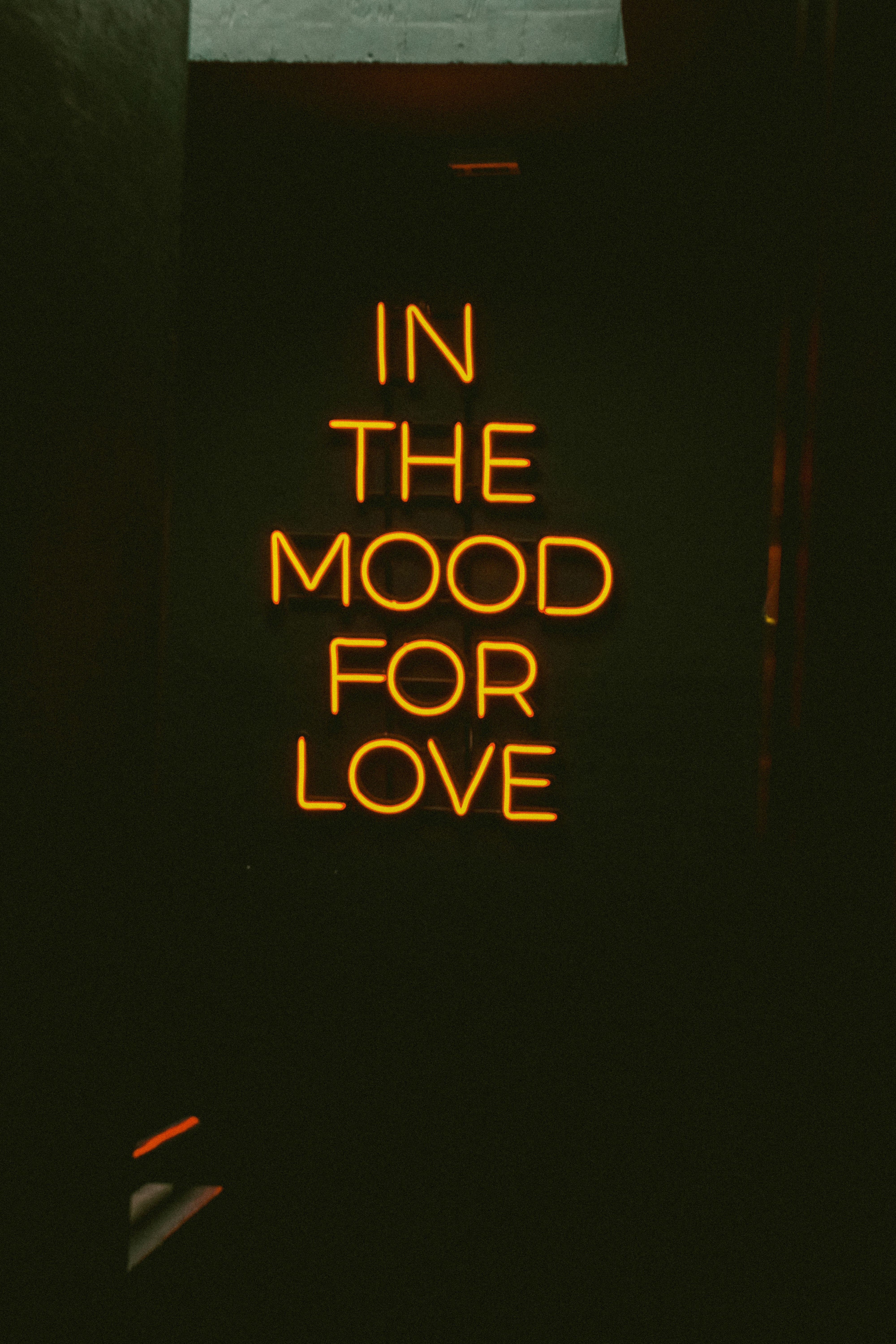 In The Mood For Love Neon Sign