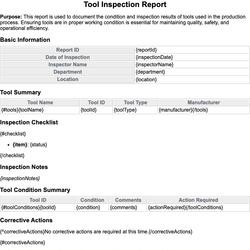 Tool Inspection Report