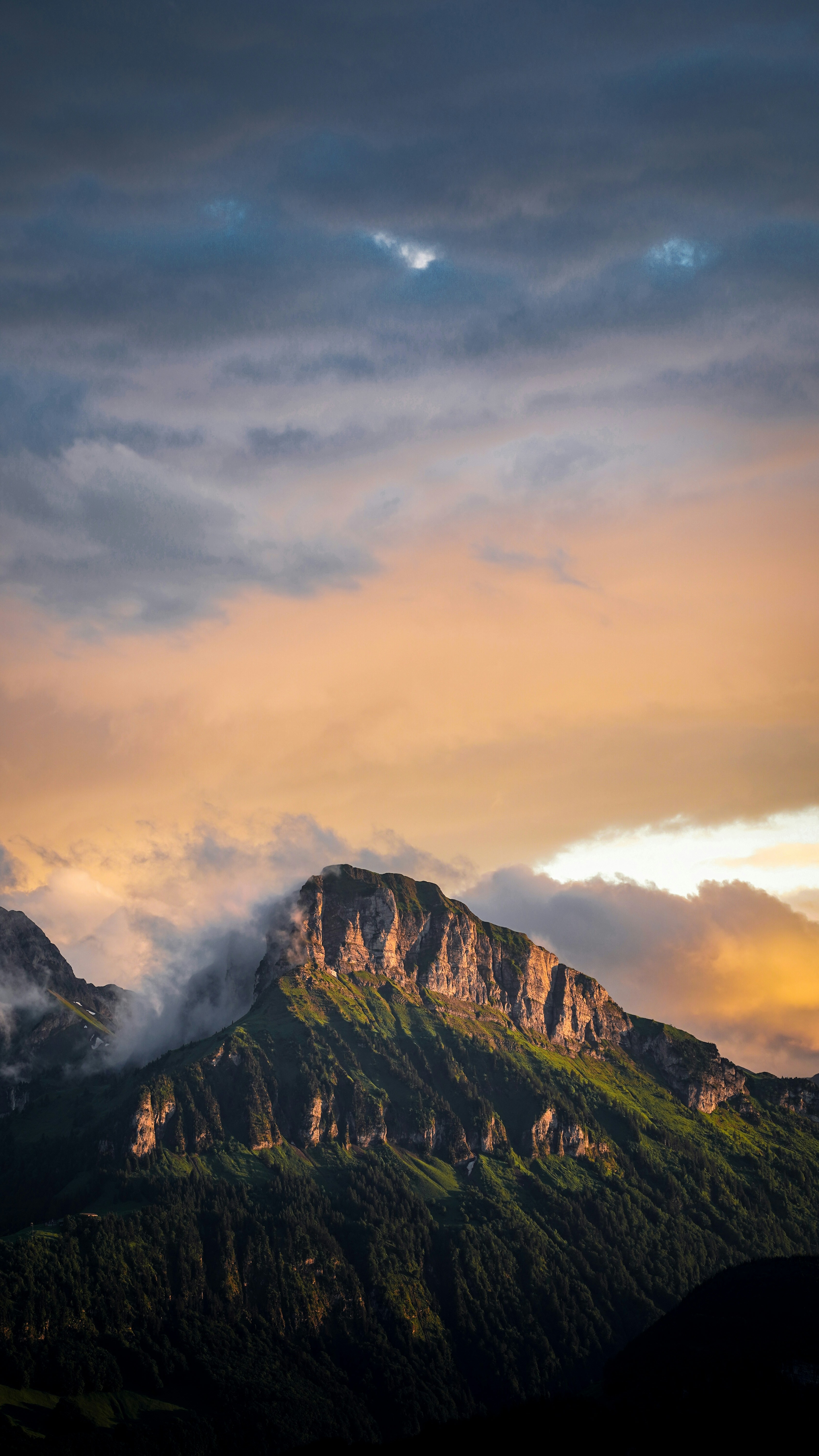 Wallpapers