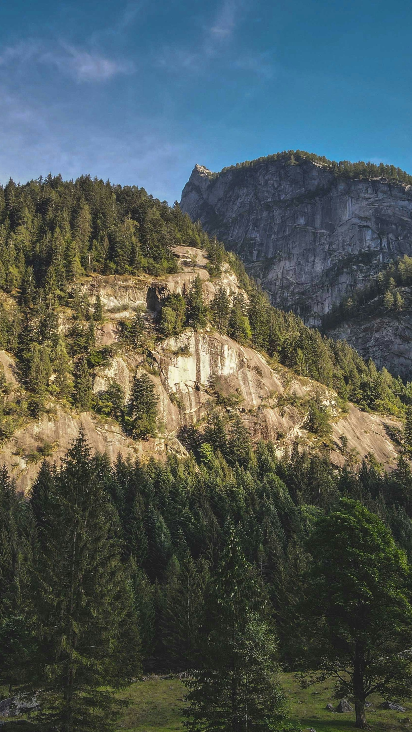 Wallpapers