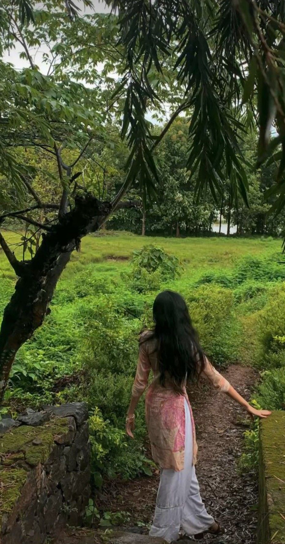Forest & Flora