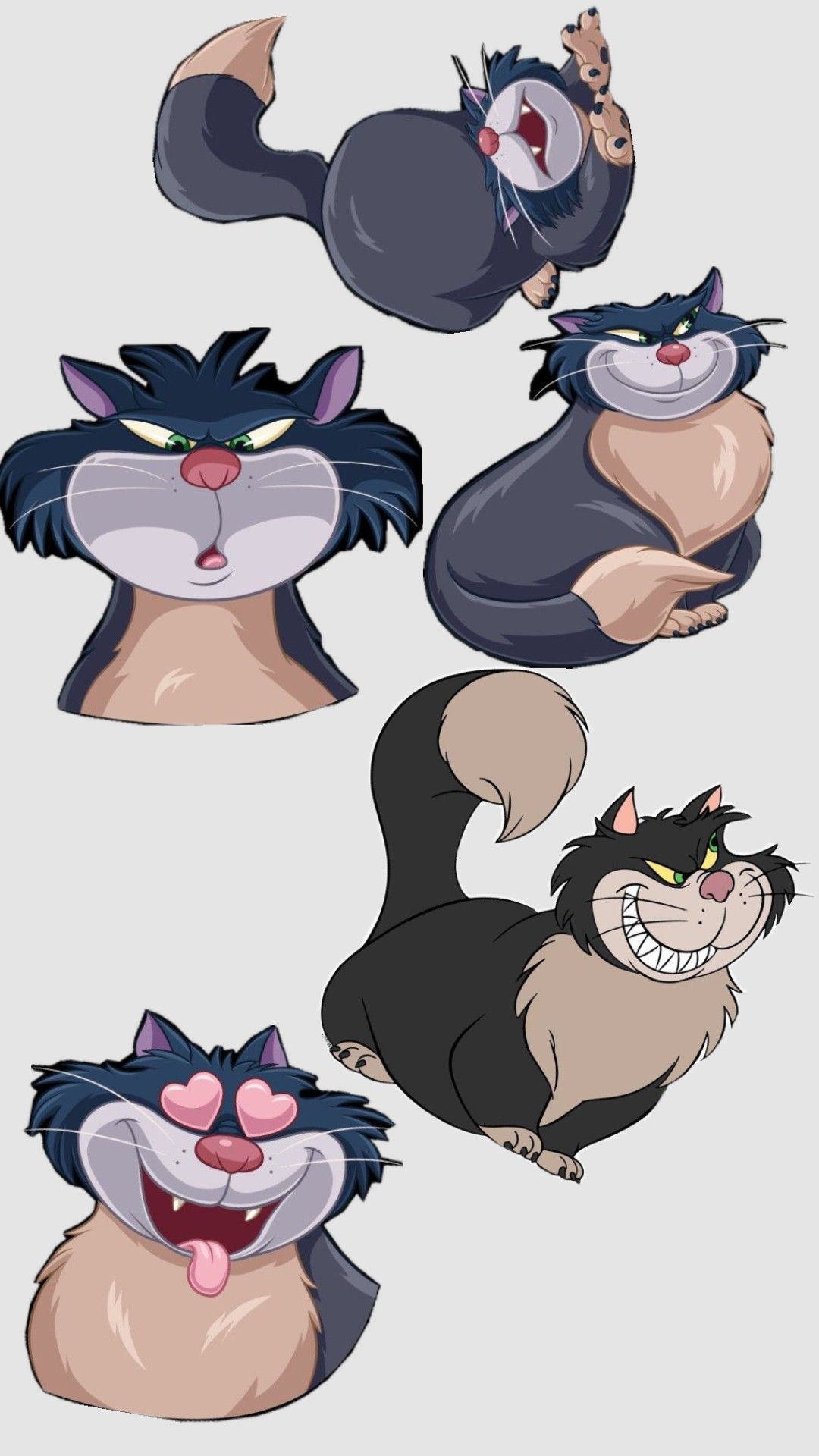 Lucifer the Cat in Different Poses